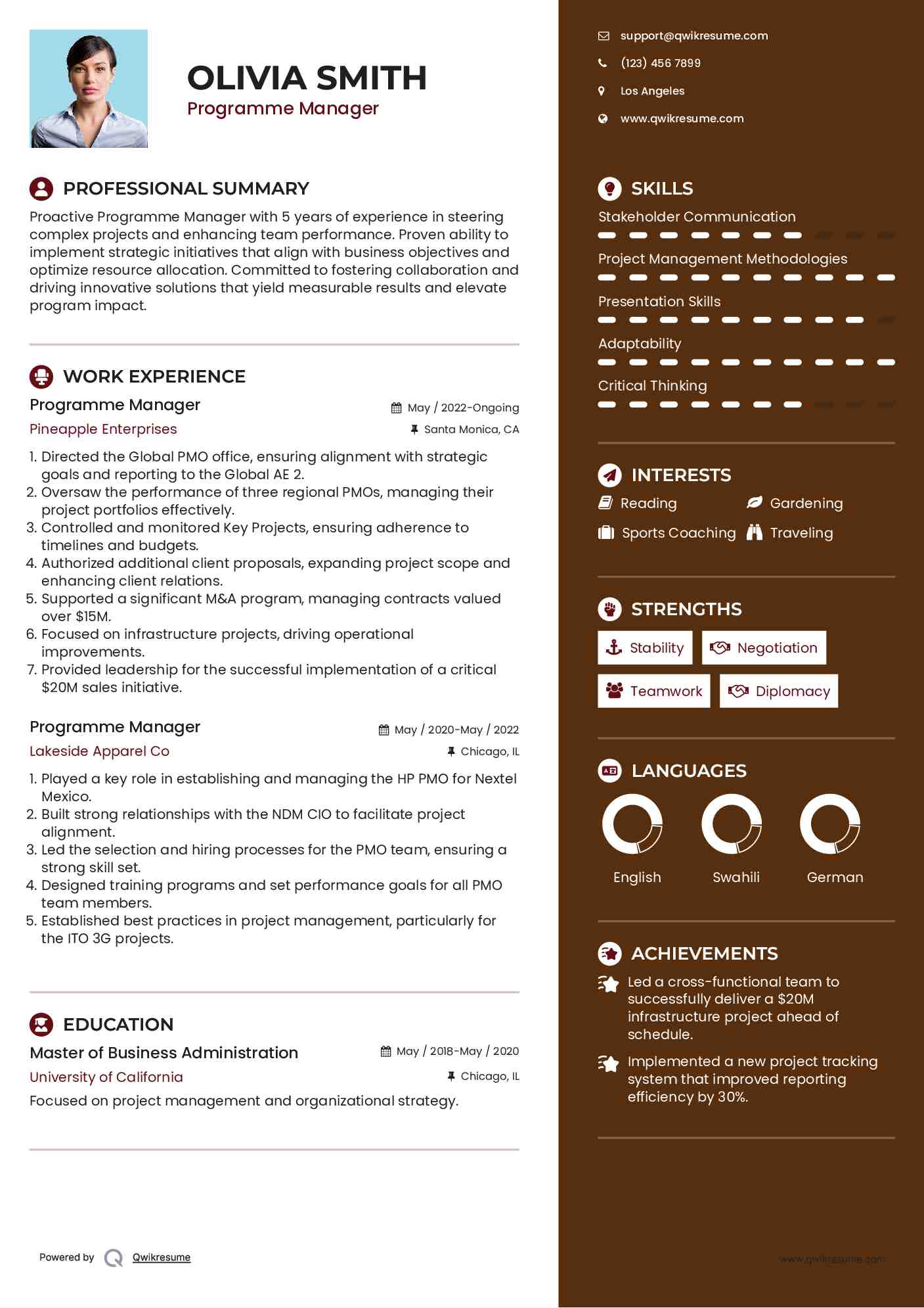 Programme Manager Resume Example