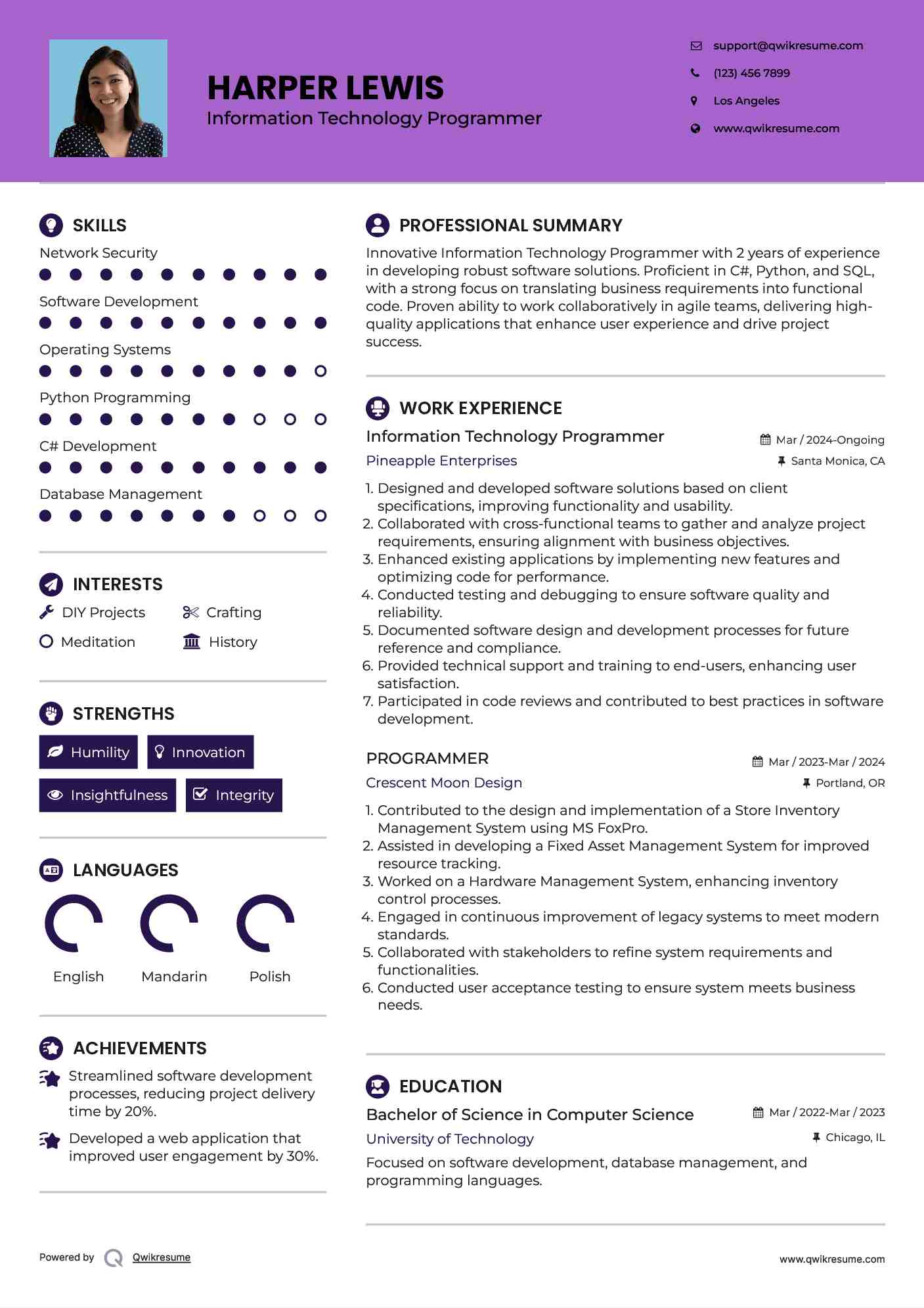 Information Technology Programmer Resume Example