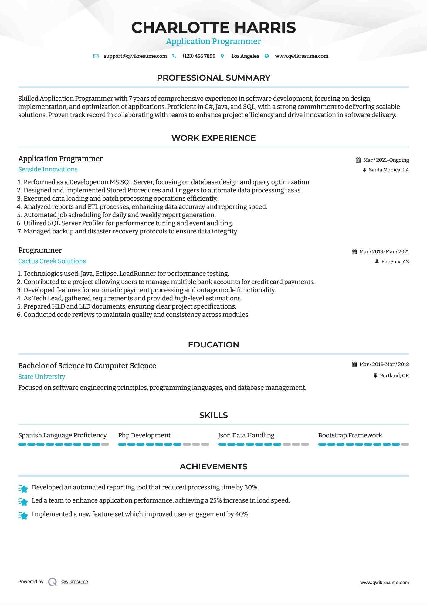 Application Programmer Resume Example