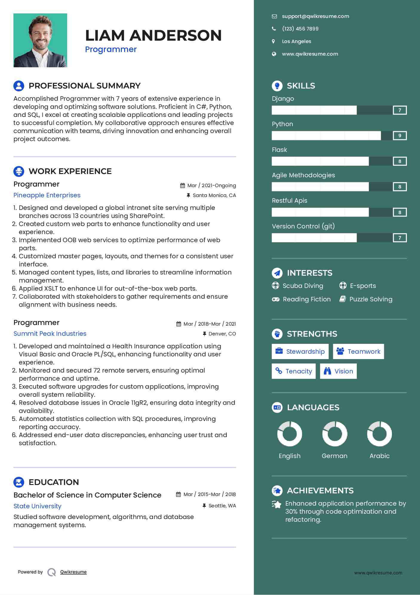 Programmer Resume Template