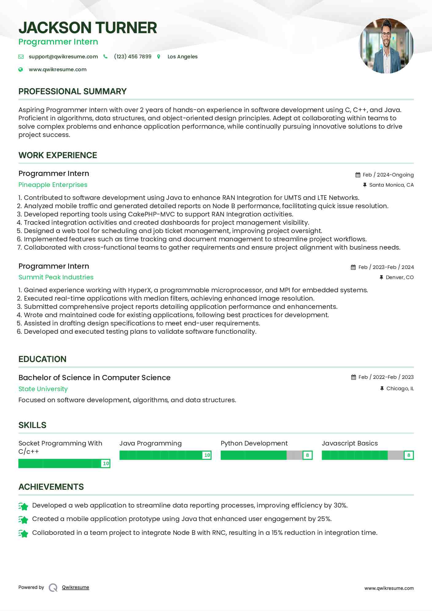 Programmer Intern Resume Example