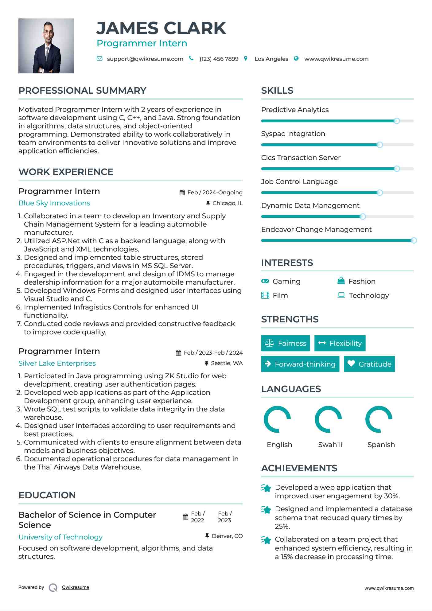 Programmer Intern Resume Sample