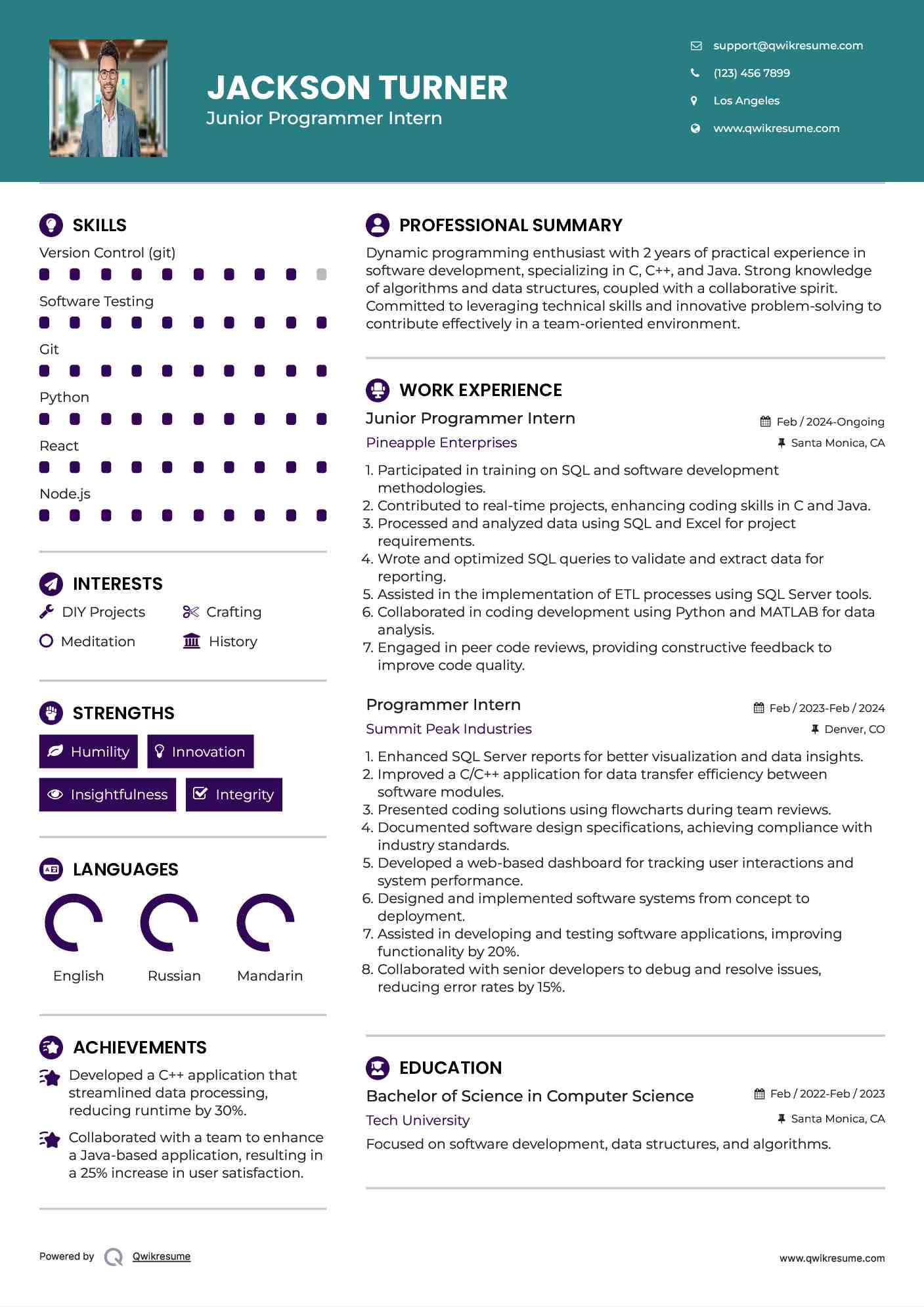 Junior Programmer Intern Resume Sample