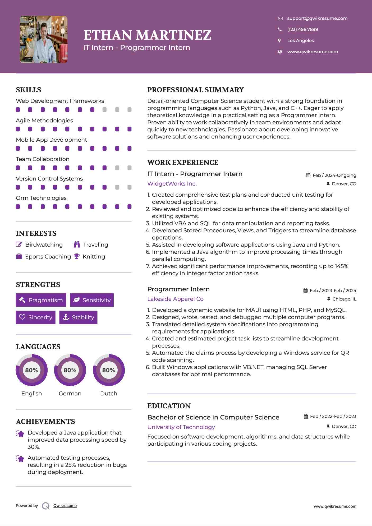 IT Intern - Programmer Intern Resume Model