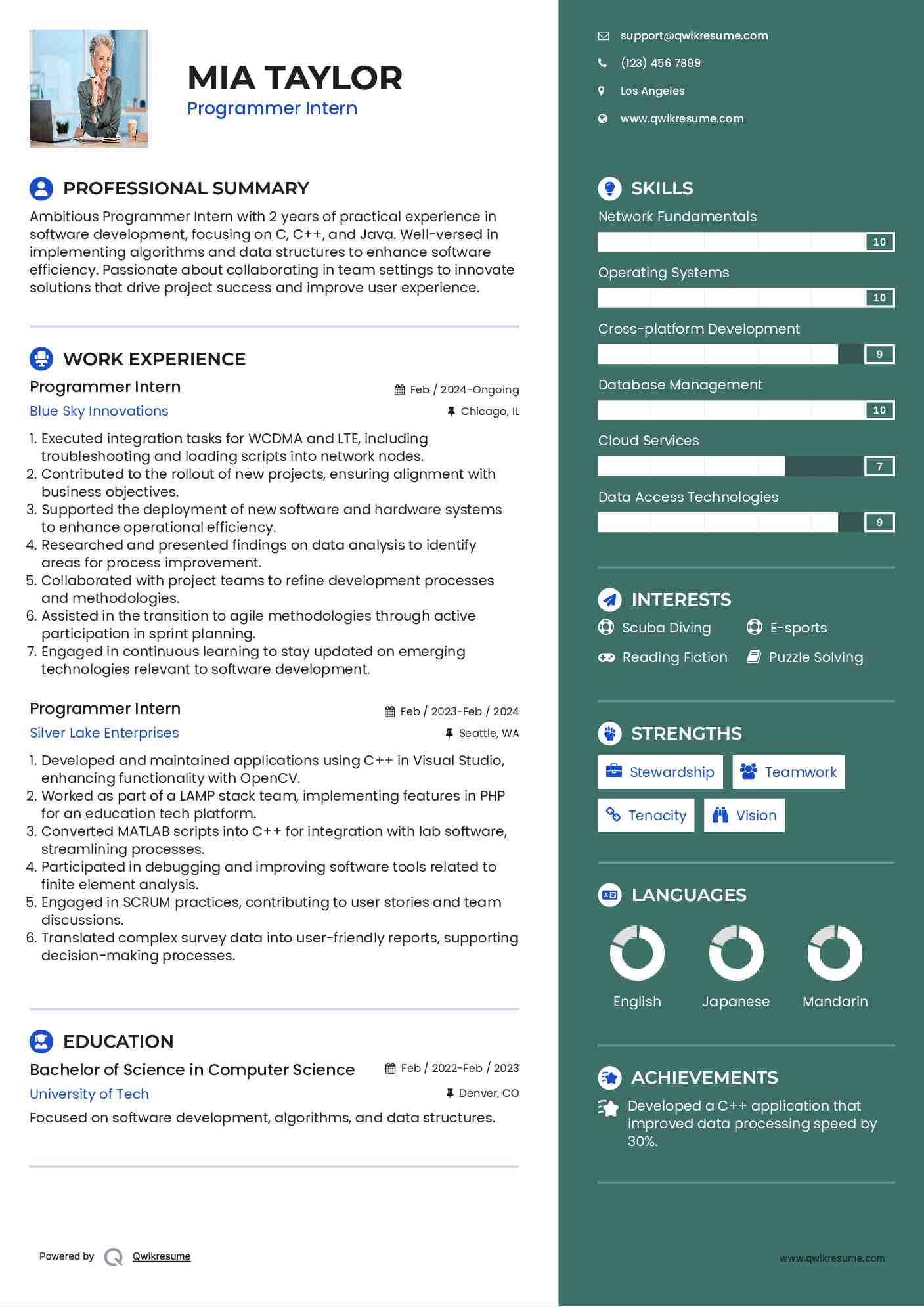 Programmer Intern Resume Sample