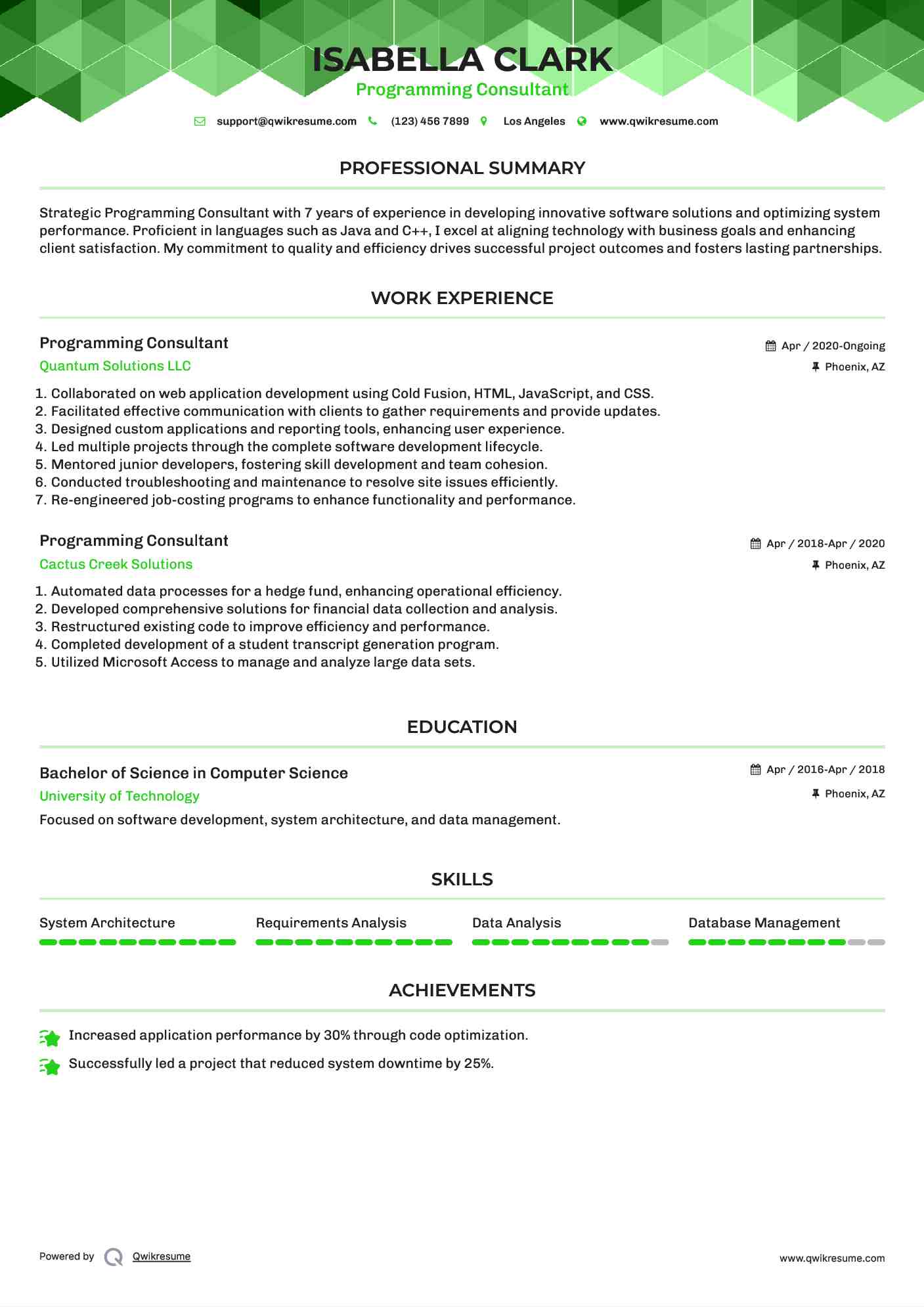 Programming Consultant Resume Template