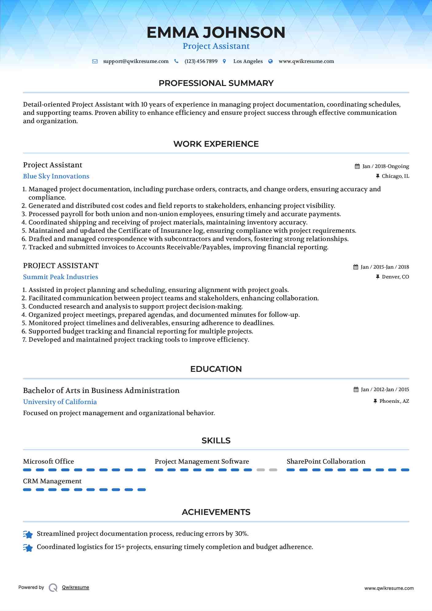 Project Assistant Resume Template