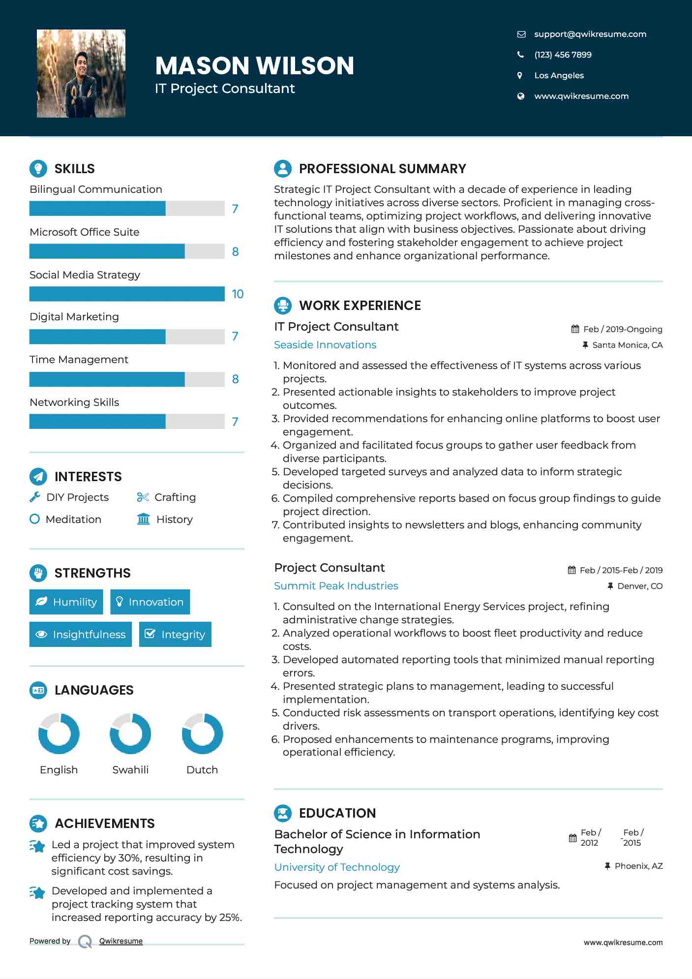 IT Project Consultant Resume Model