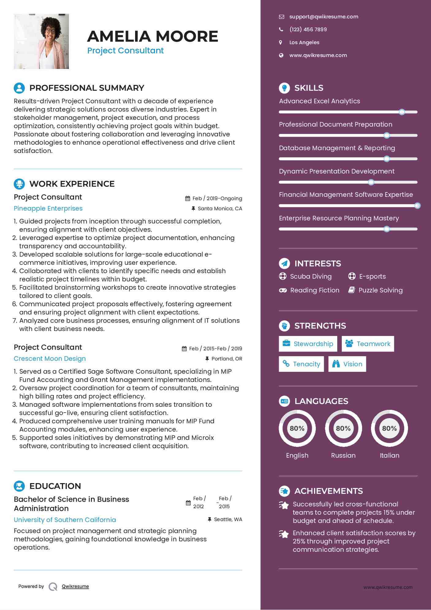 Project Consultant Resume Model