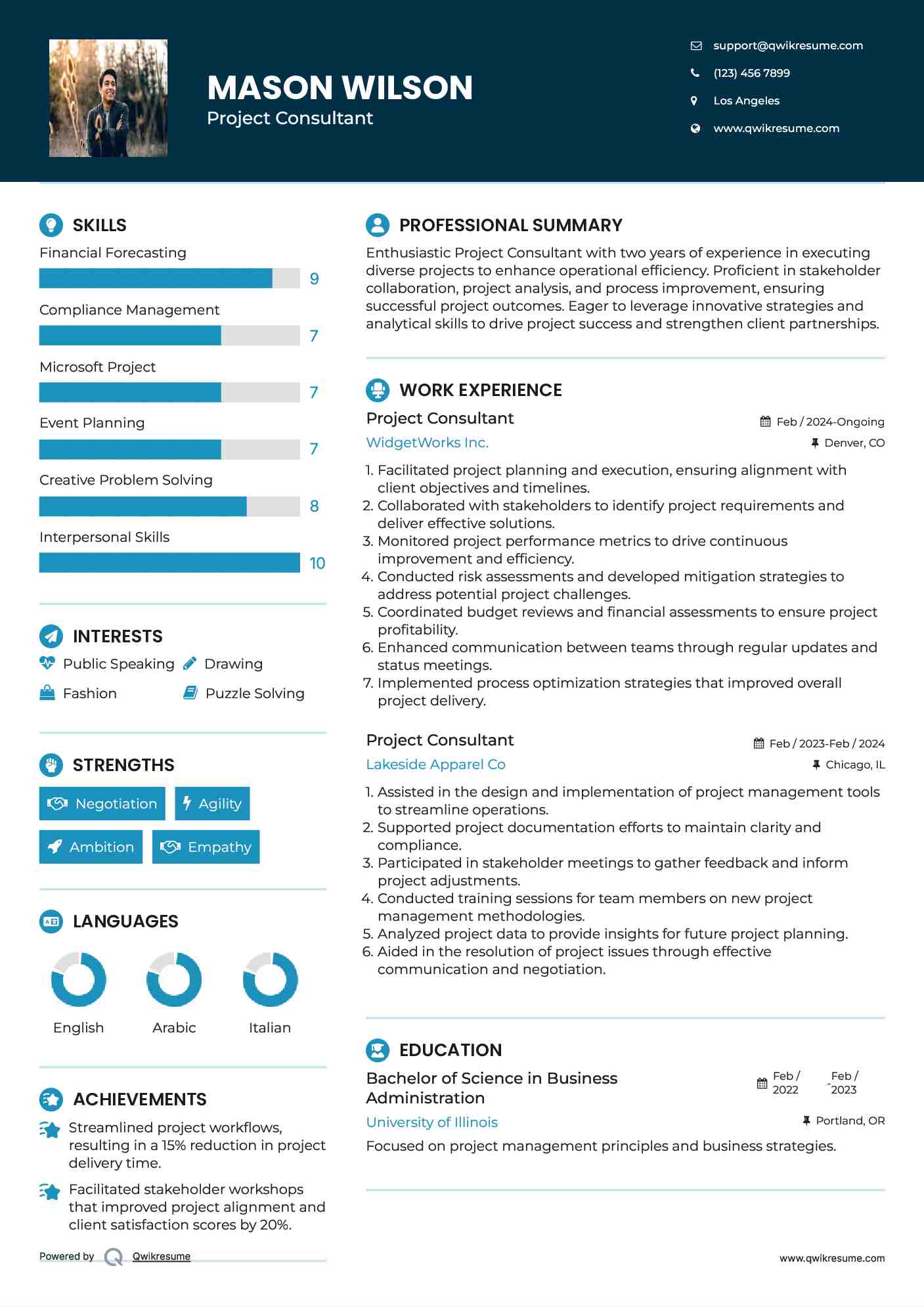 Project Consultant Resume Example