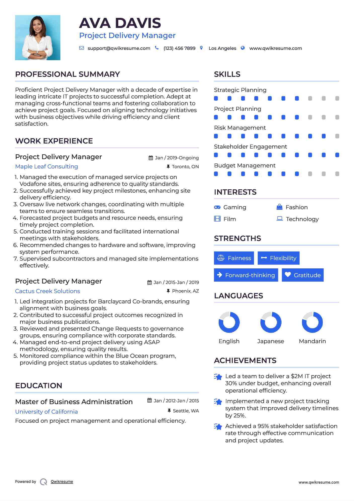 Project Delivery Manager Resume Example