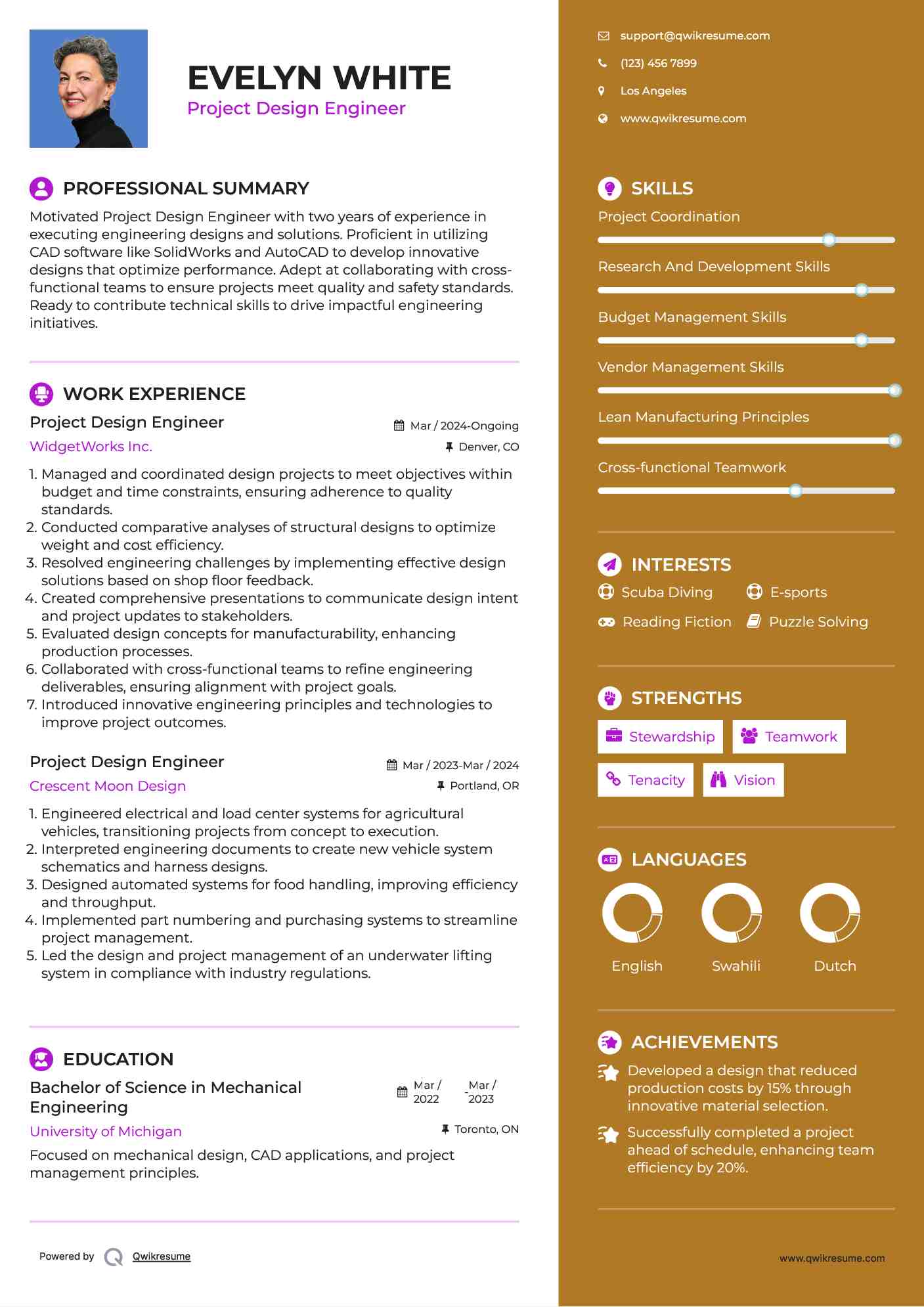 Project Design Engineer Resume Example