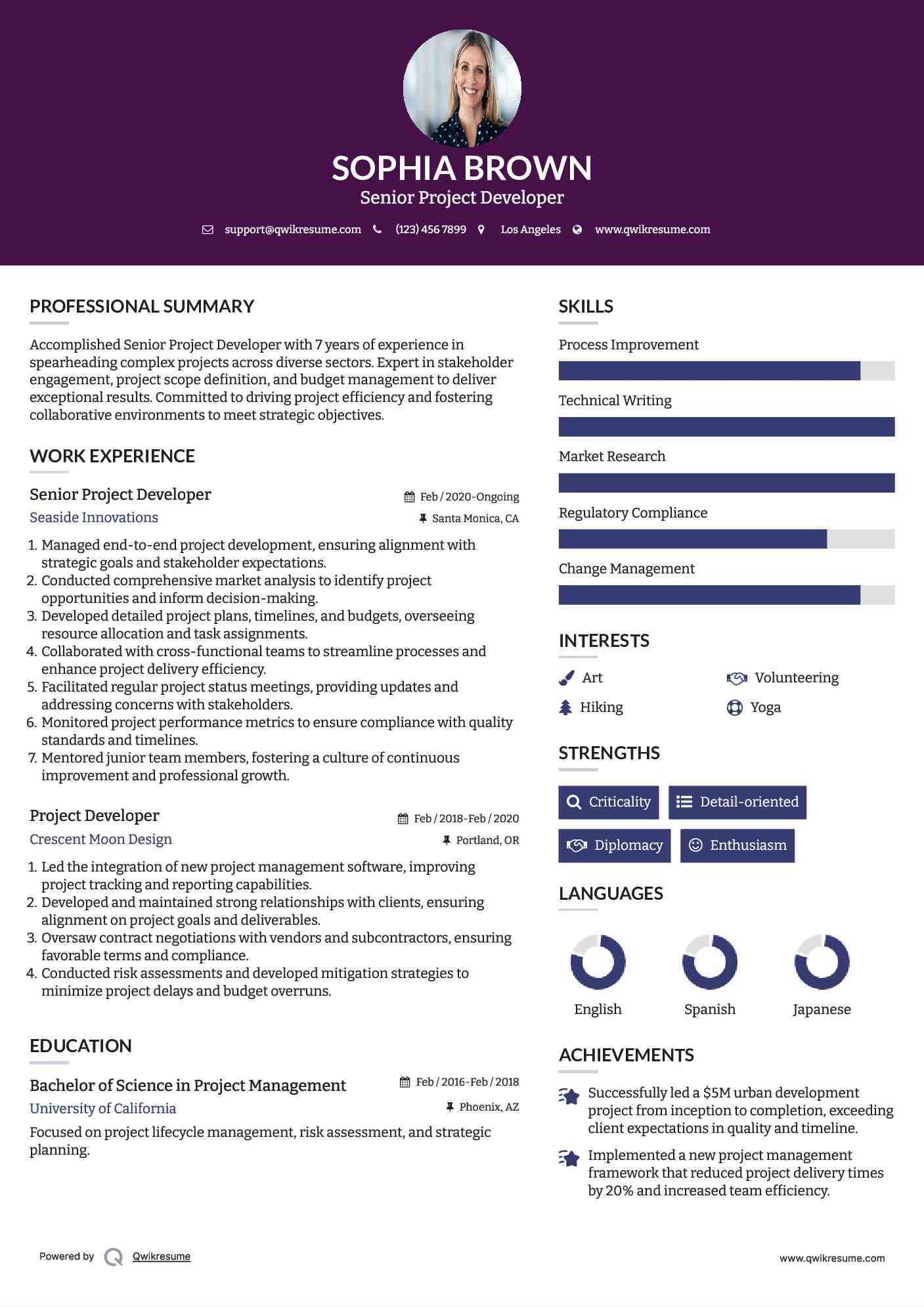 Senior Project Developer Resume Template