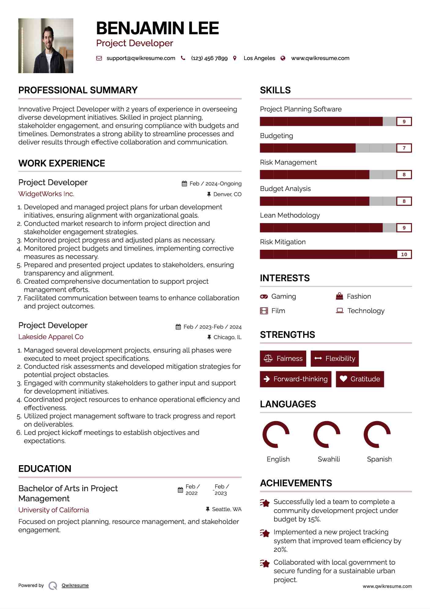 Project Developer Resume Format