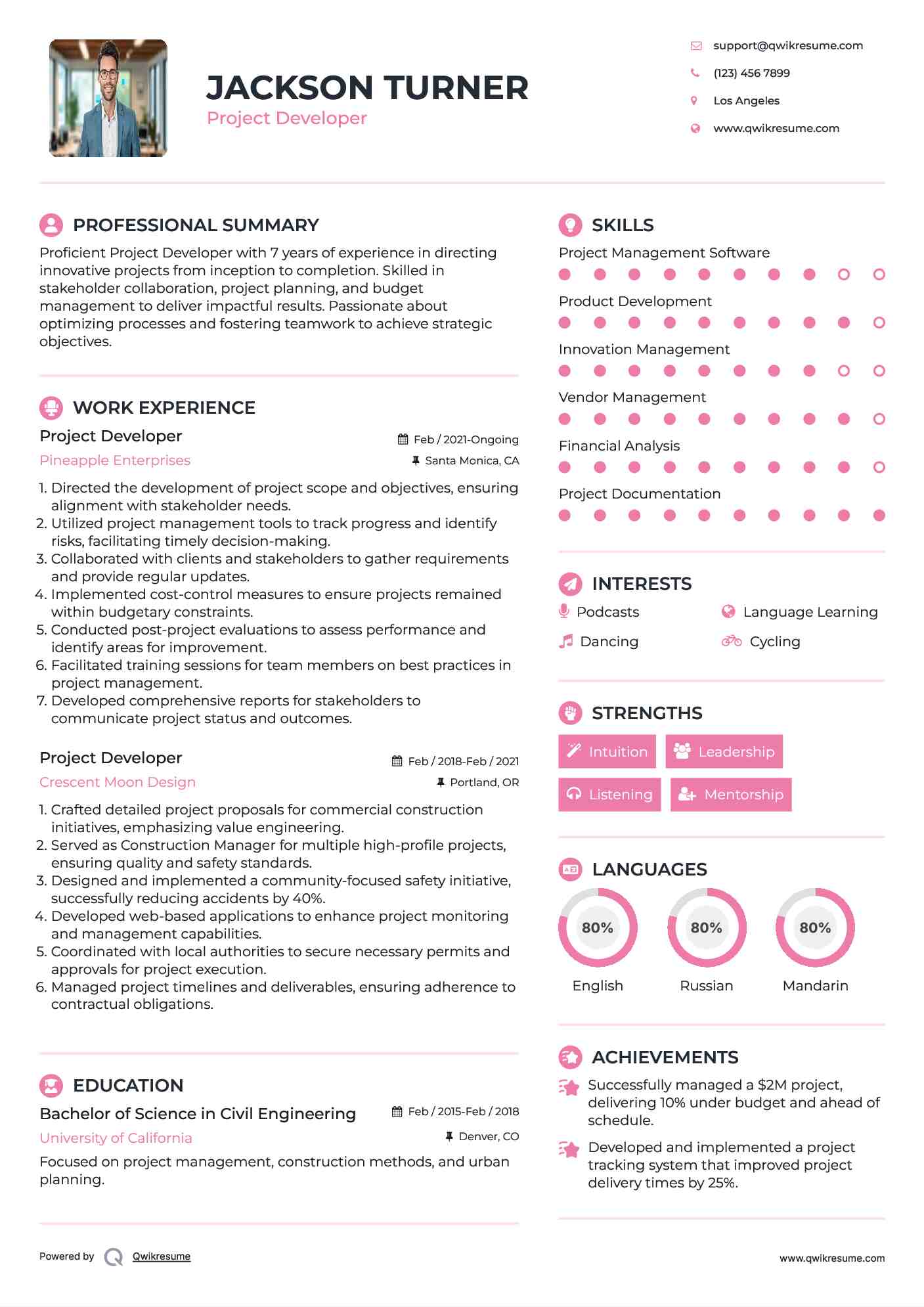 Project Developer Resume Model
