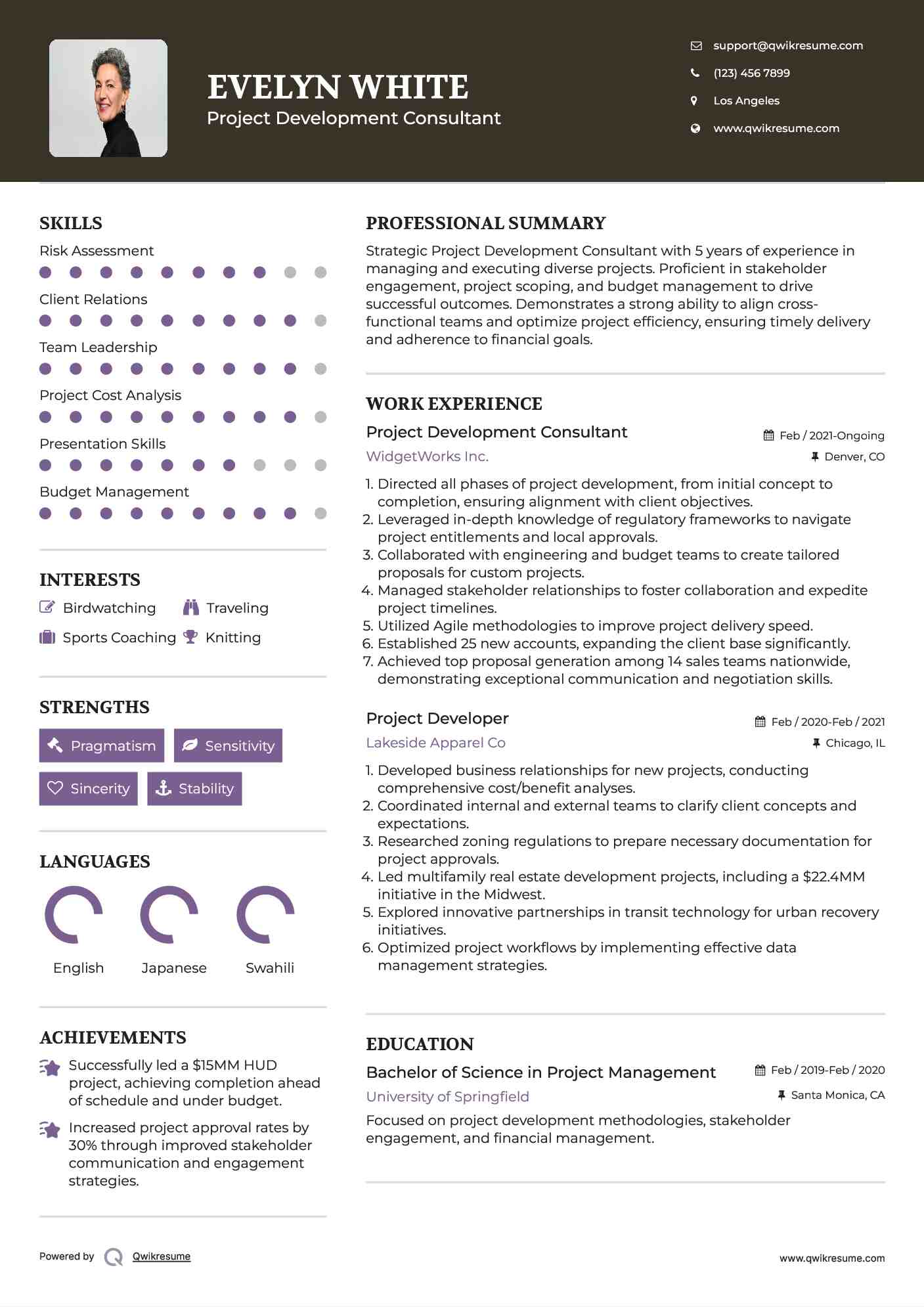 Project Development Consultant Resume Template
