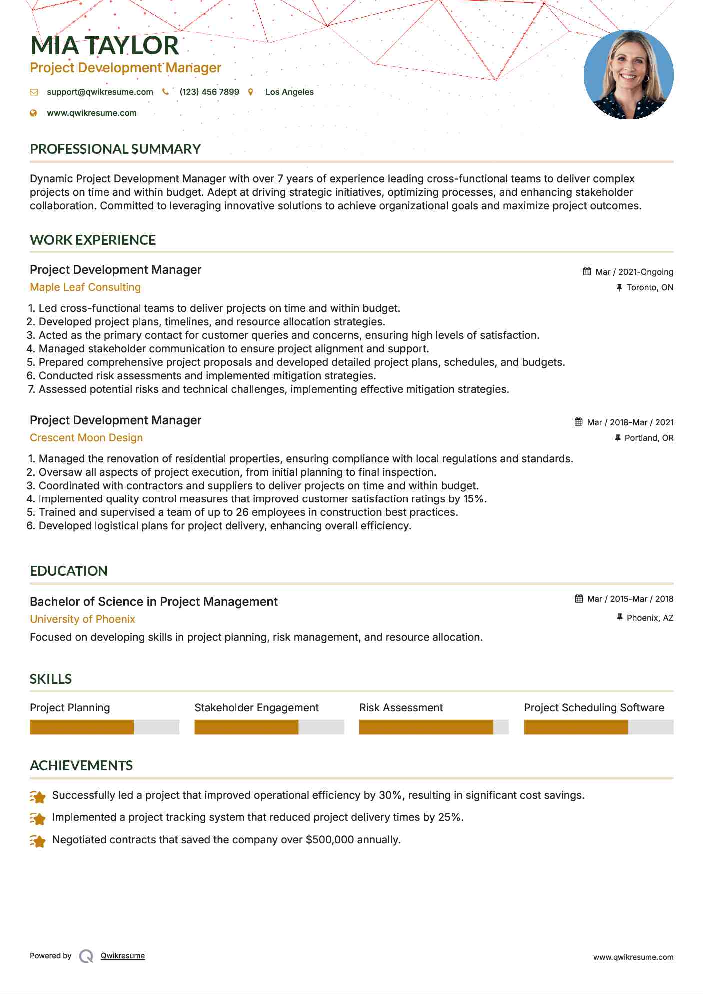 Project Development Manager Resume Format