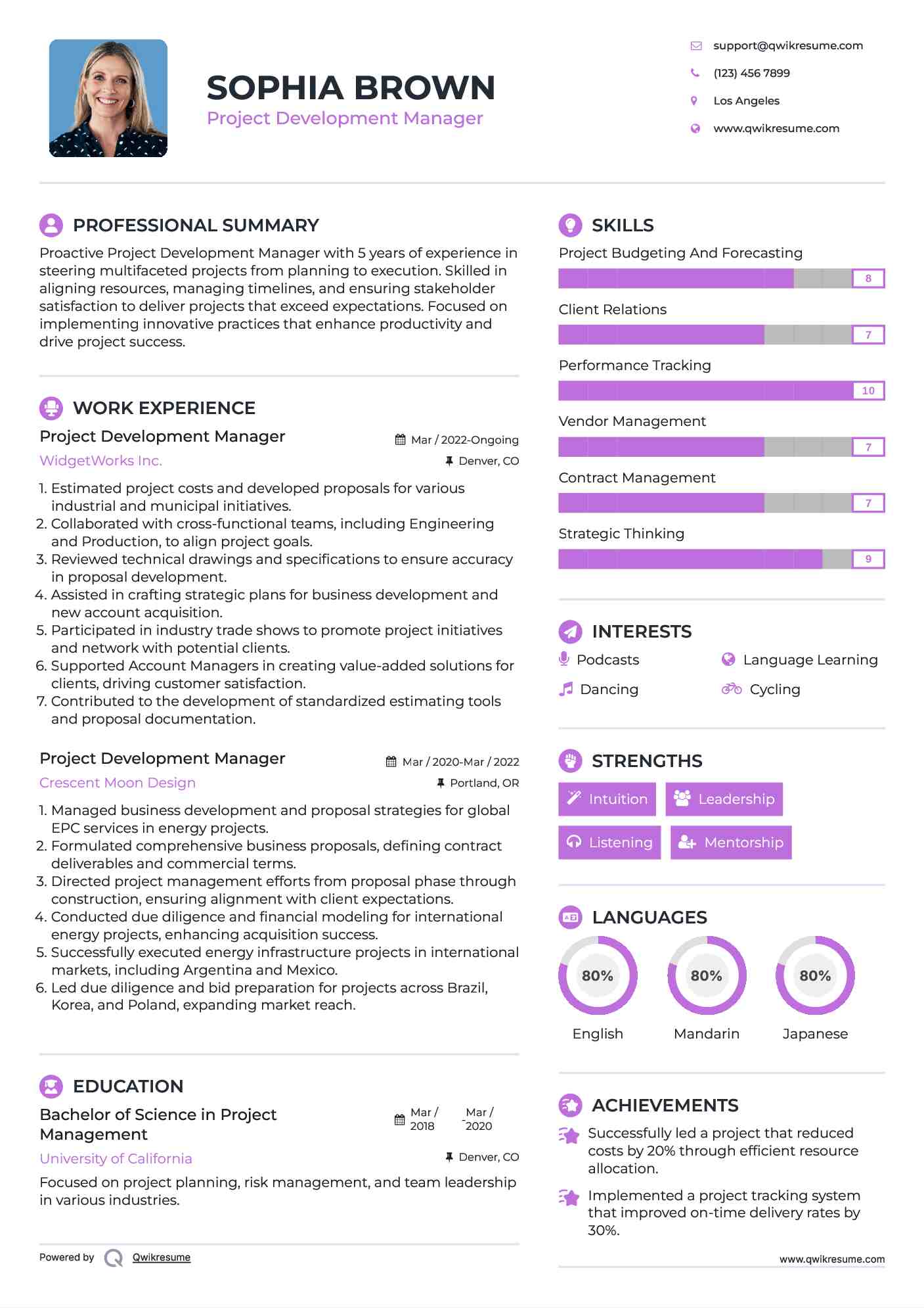 Project Development Manager Resume Format