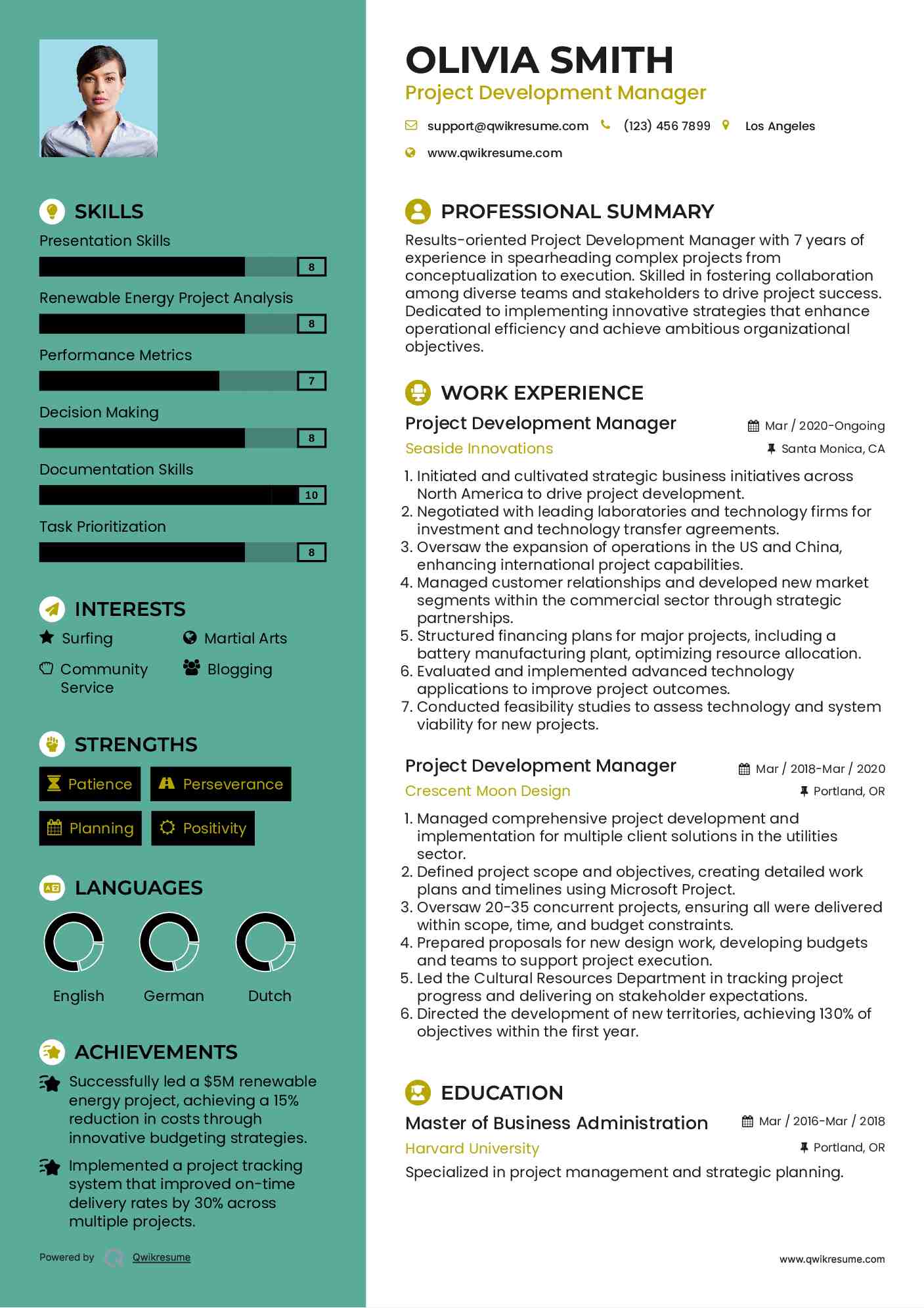 Project Development Manager Resume Example