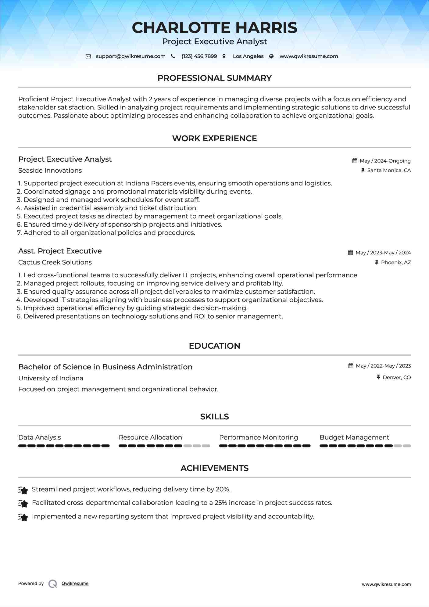 Project Executive Analyst Resume Format
