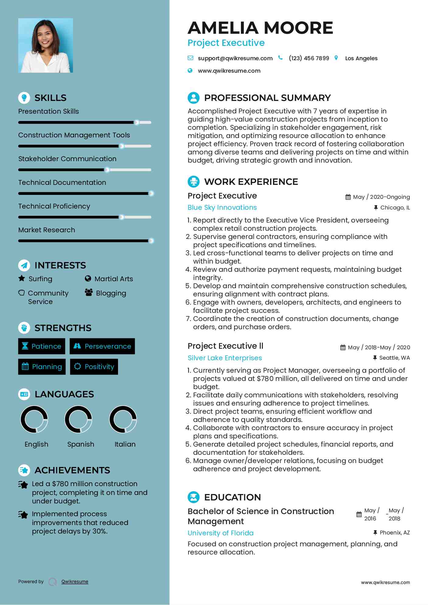 Project Executive Resume Template