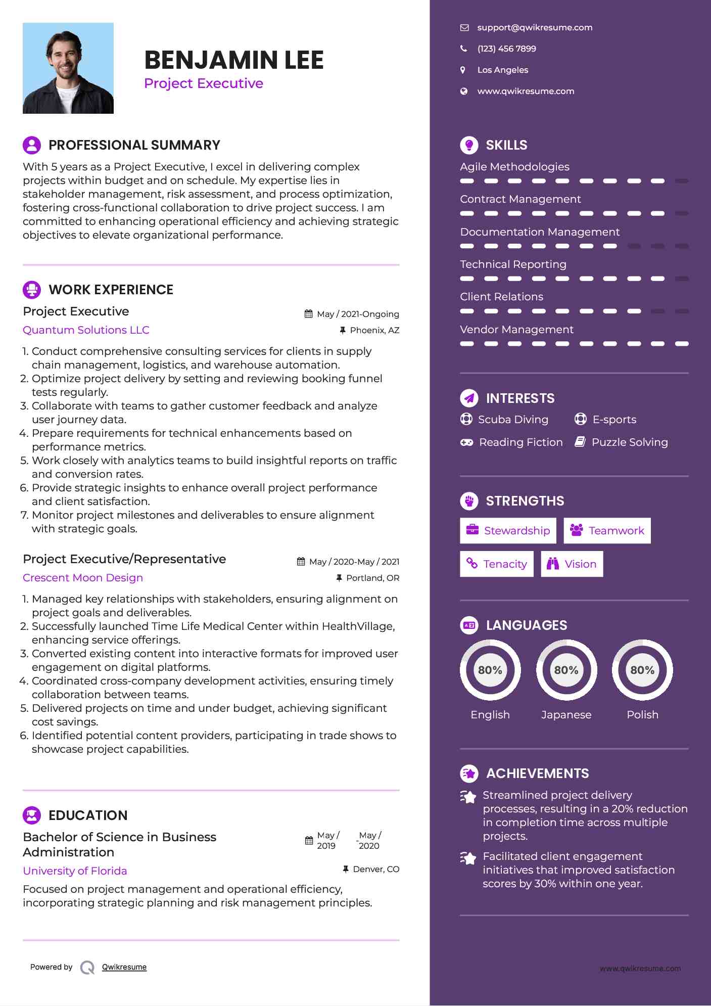Project Executive Resume Sample