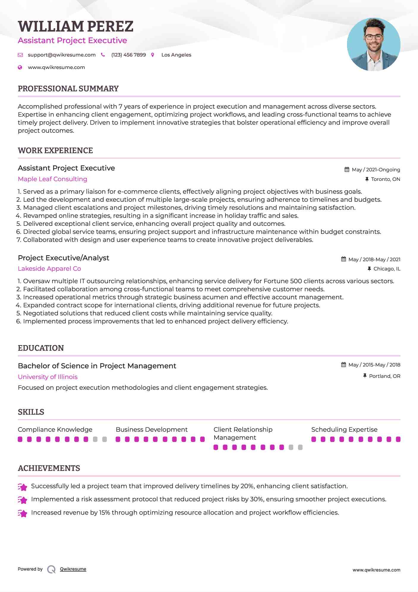Assistant Project Executive Resume Template