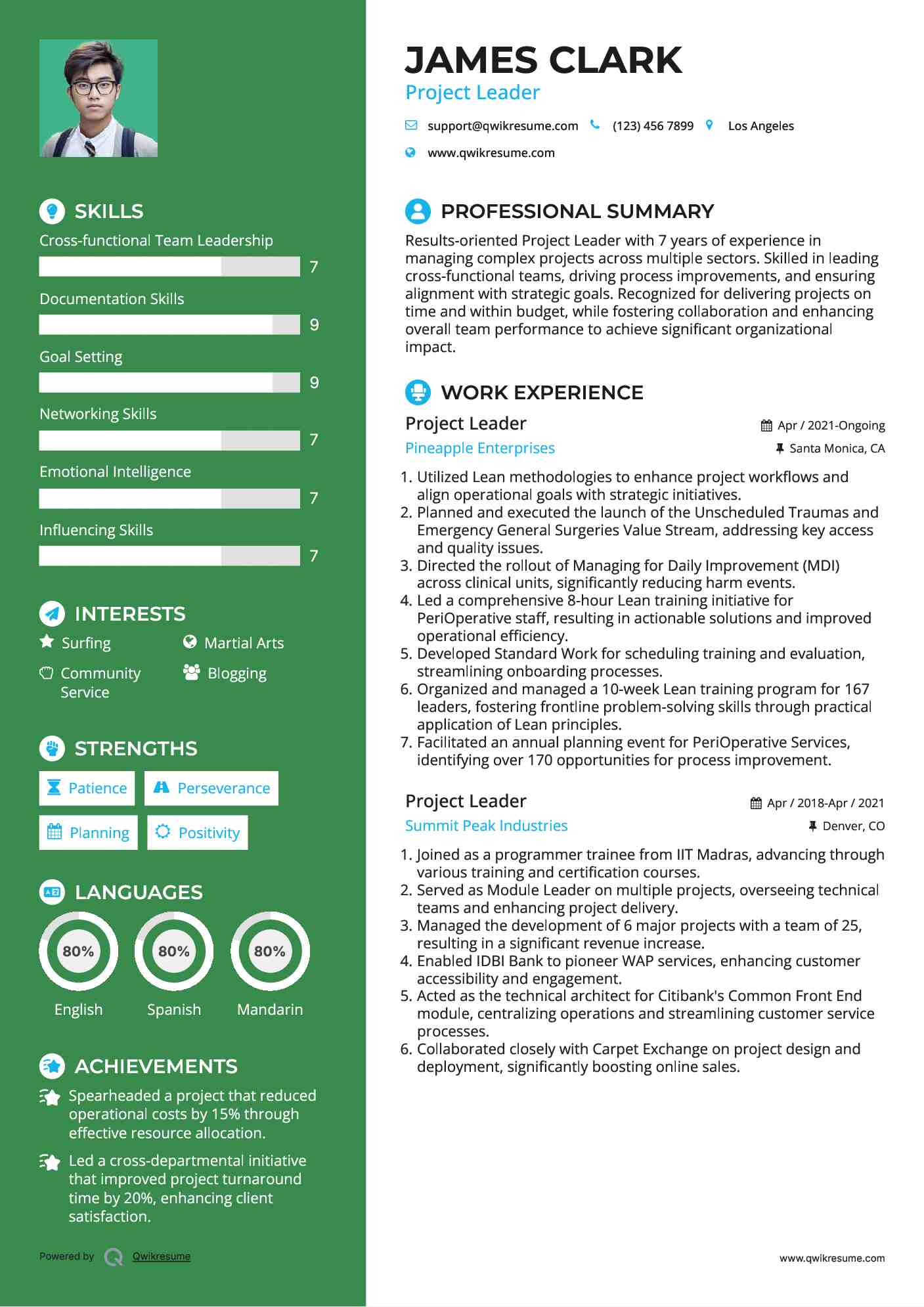Project Leader Resume Format