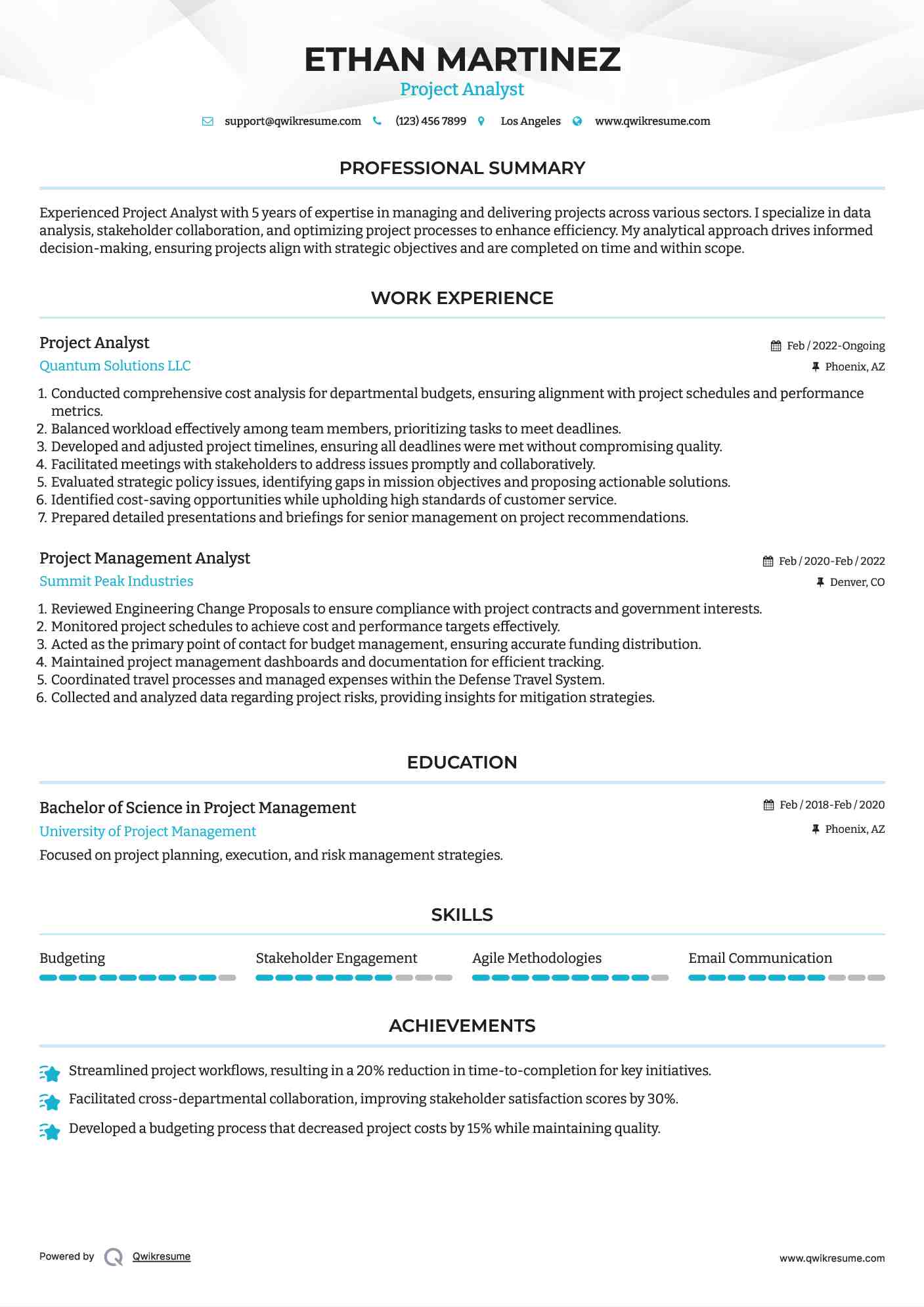 Project Analyst Resume Model