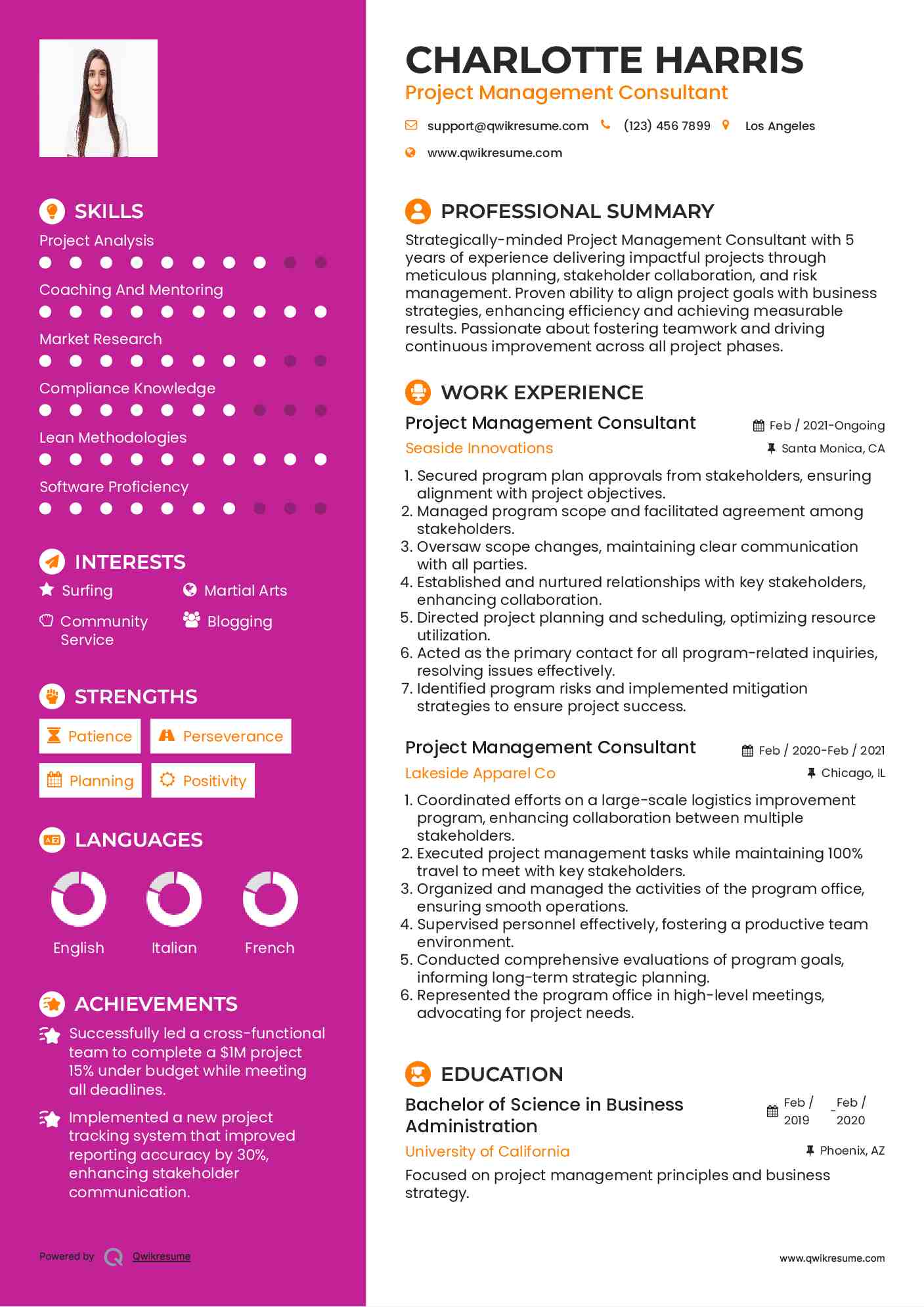 Project Management Consultant Resume Template