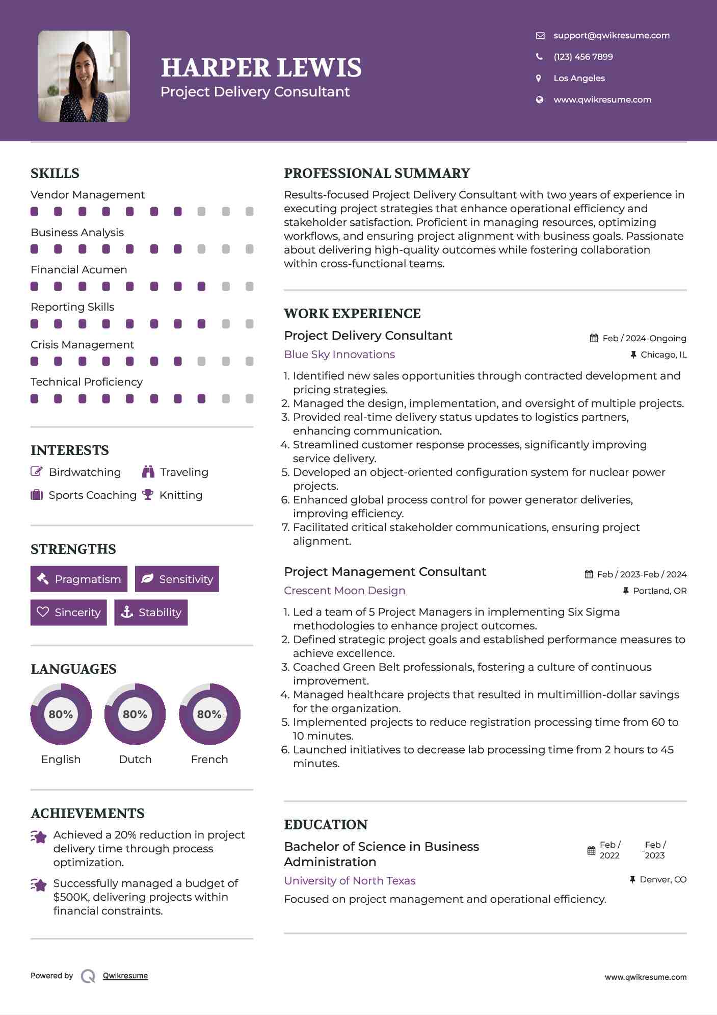 Project Delivery Consultant Resume Format