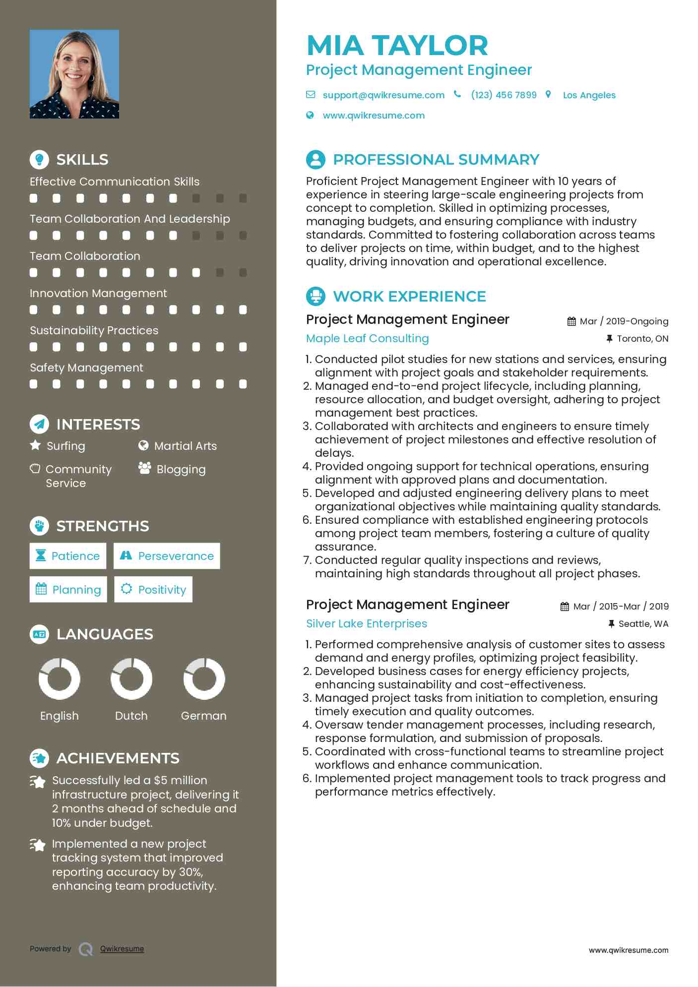 Project Management Engineer Resume Template