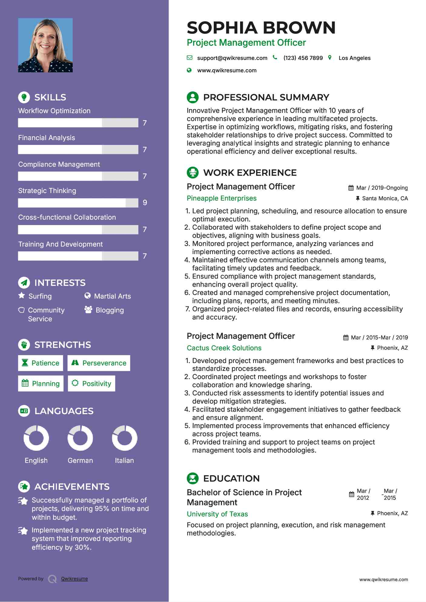 Project Management Officer Resume Model