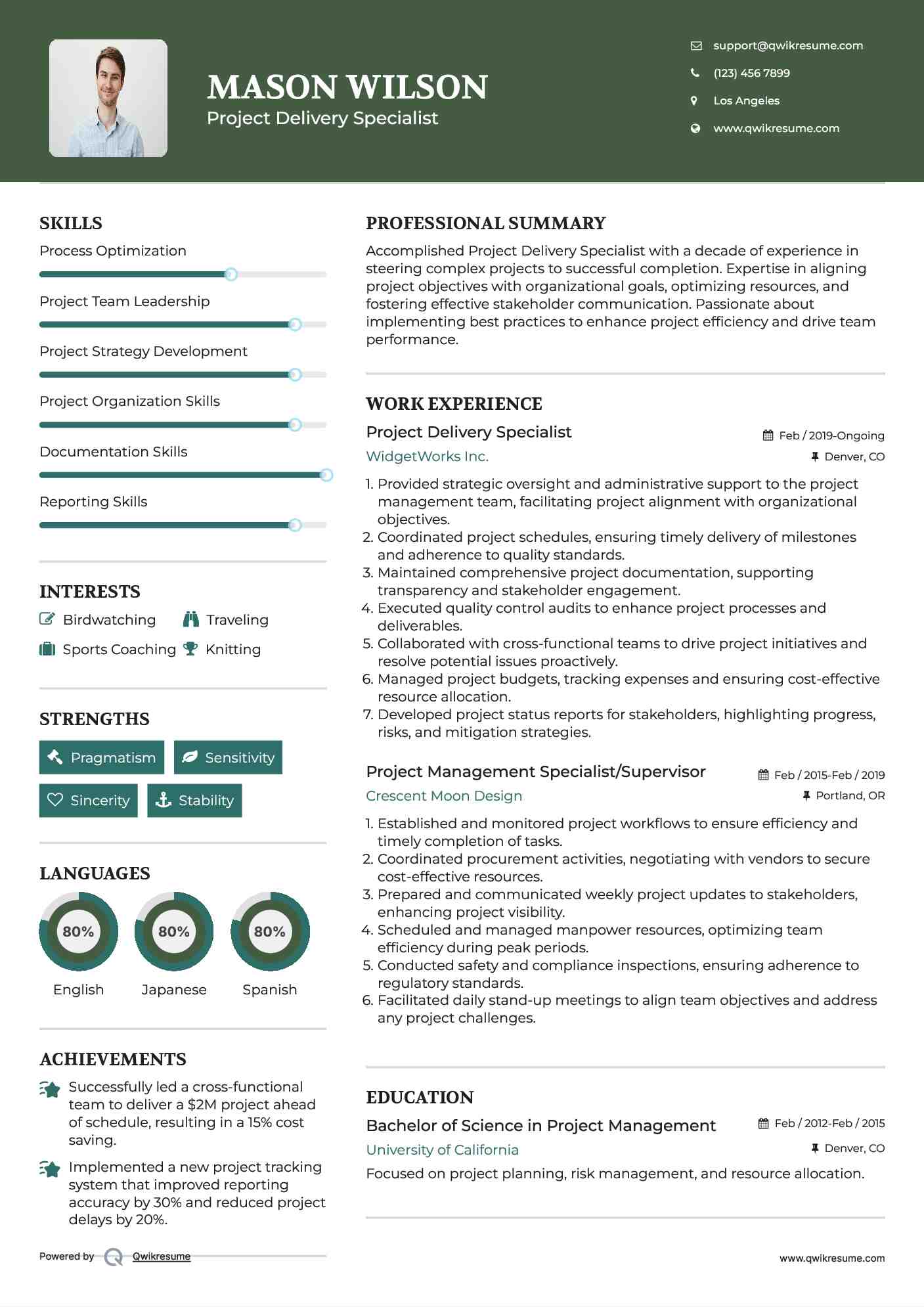 Project Delivery Specialist Resume Sample