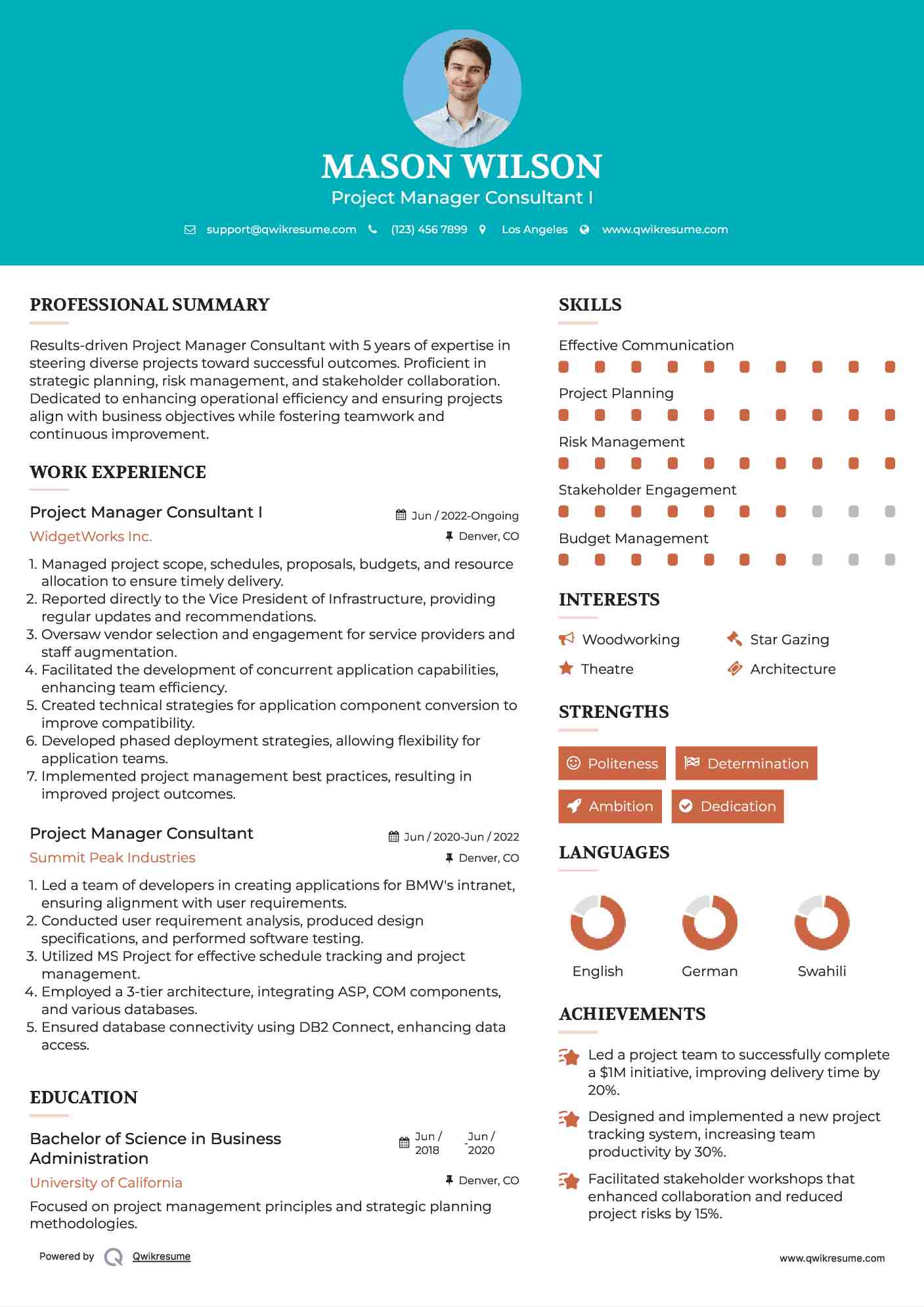 Project Manager Consultant I Resume Example