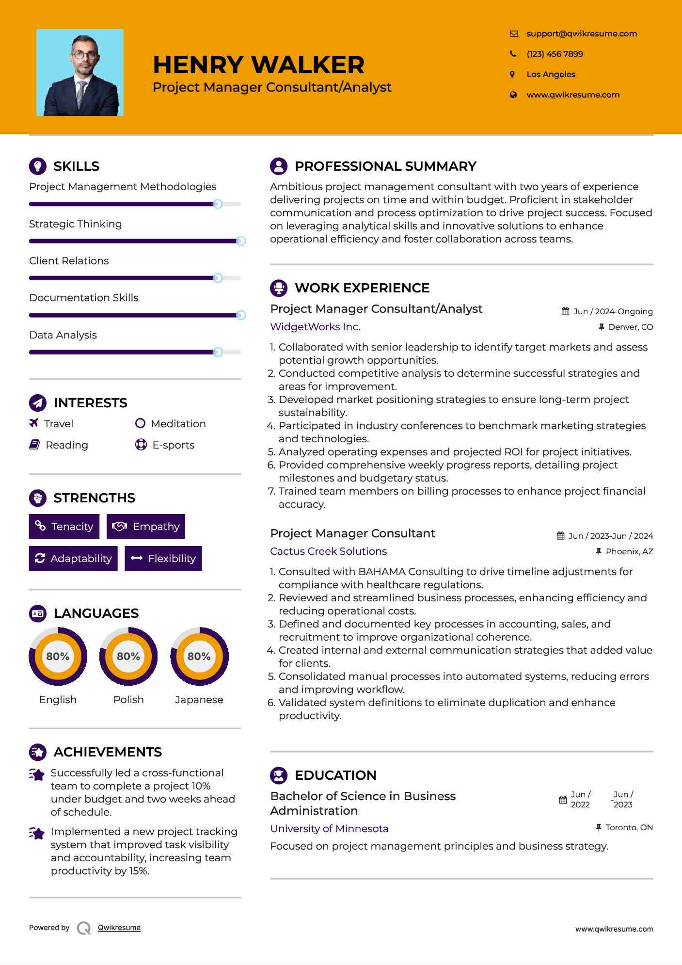 Project Manager Consultant/Analyst Resume Format