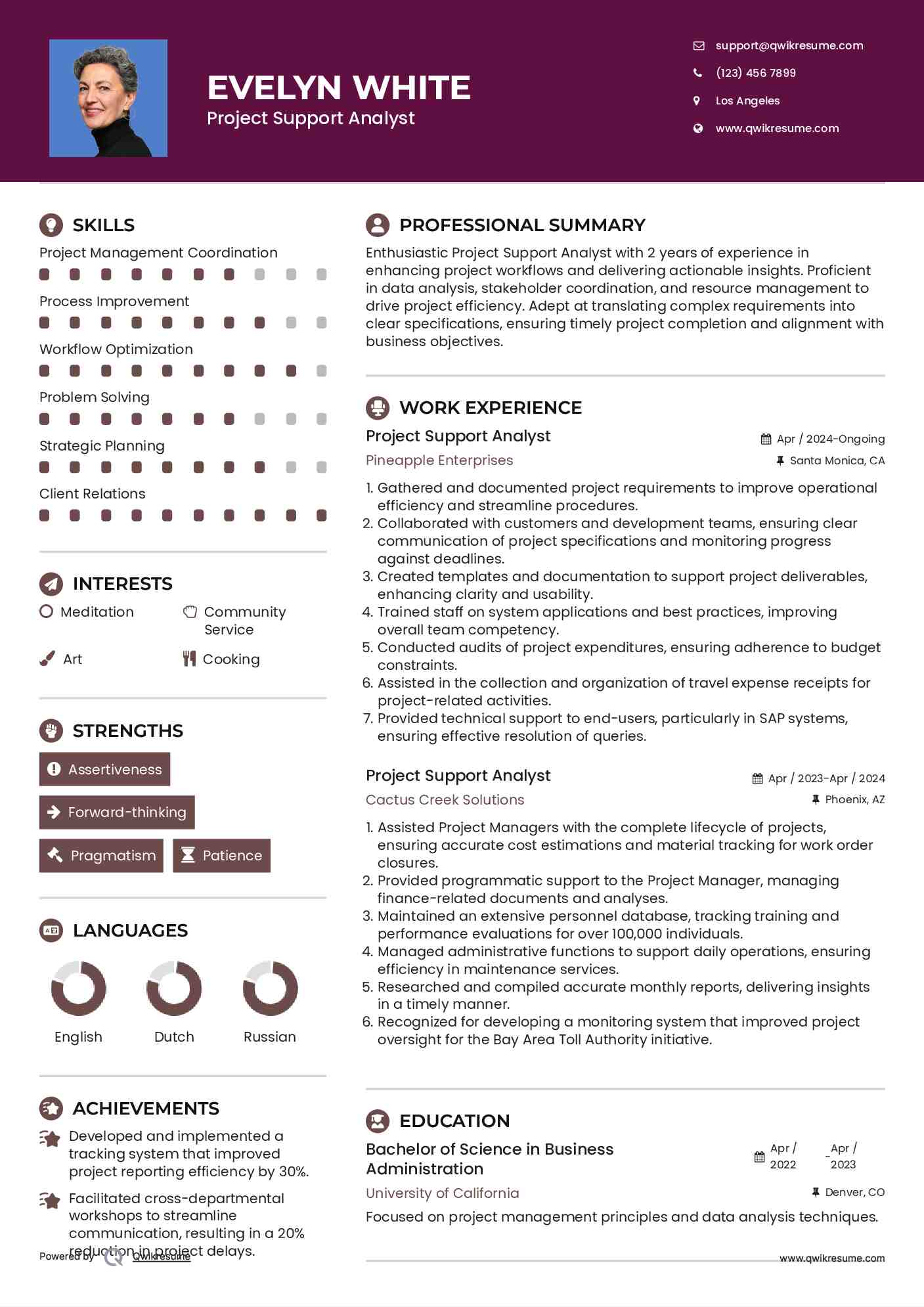 Project Support Analyst Resume Sample