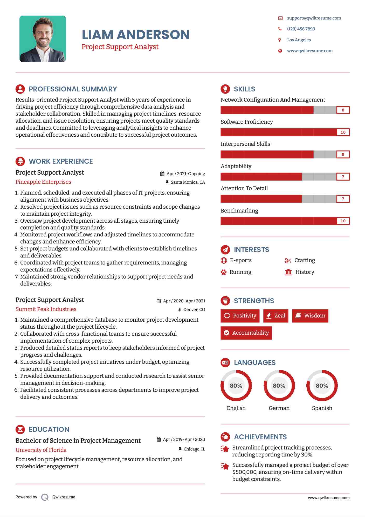 Project Support Analyst Resume Format