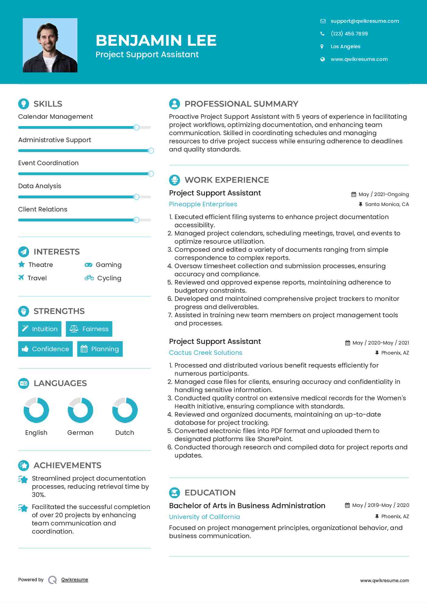 Project Support Assistant Resume Example
