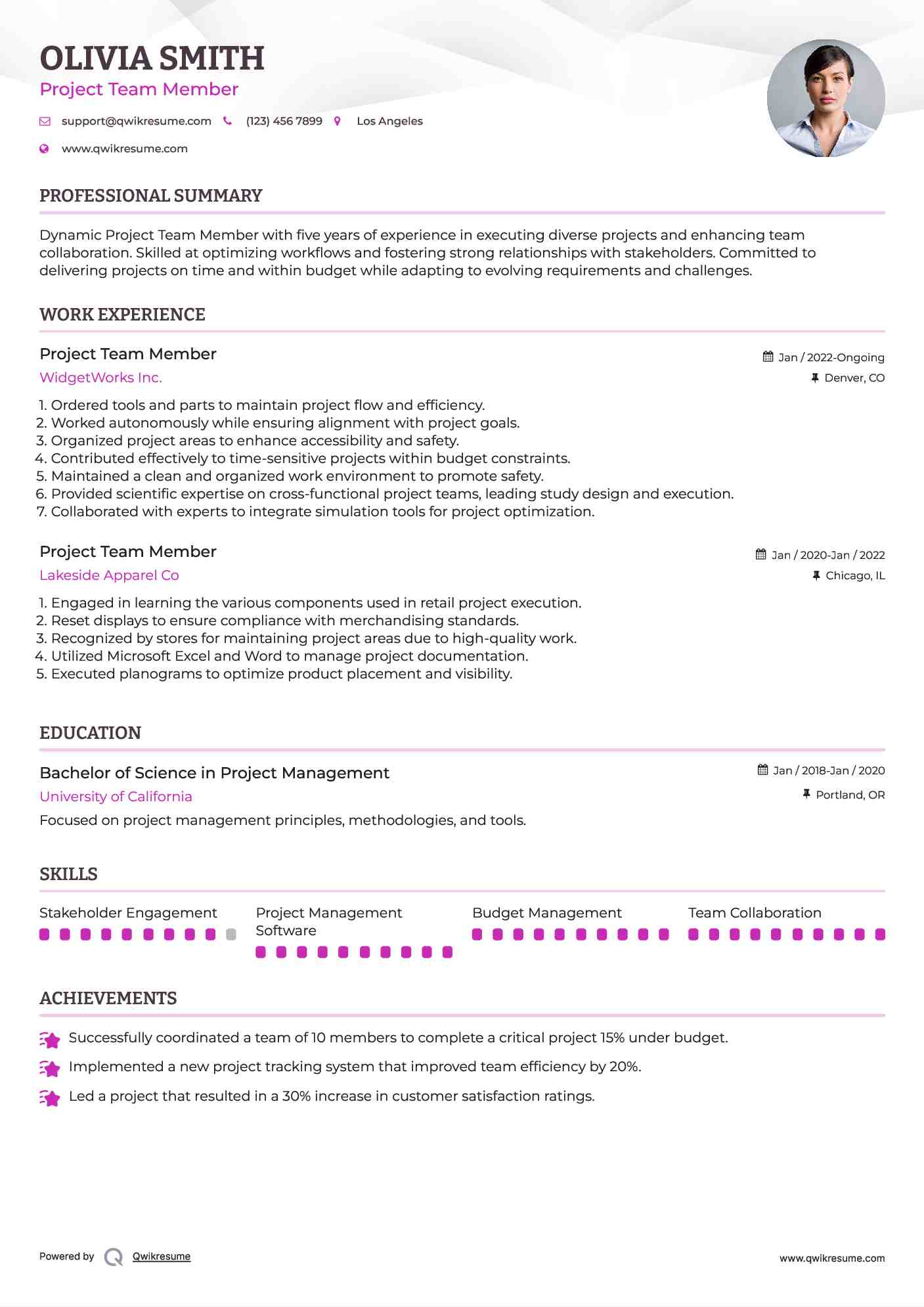 Project Team Member Resume Format