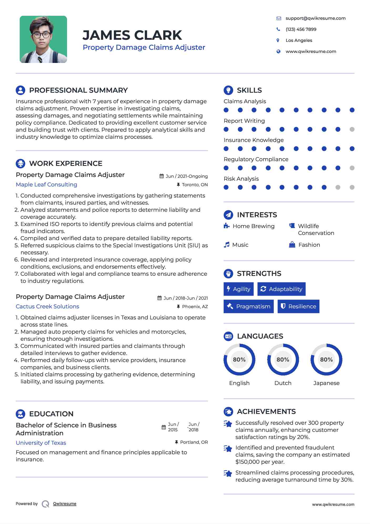 Property Damage Claims Adjuster Resume Sample