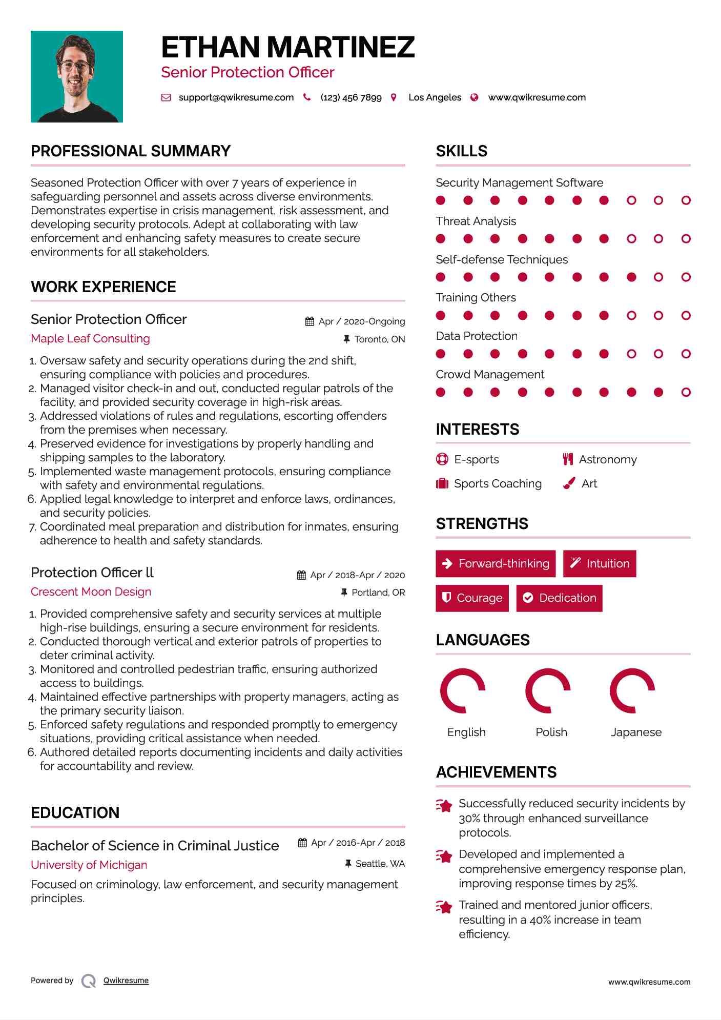 Senior Protection Officer  Resume Example