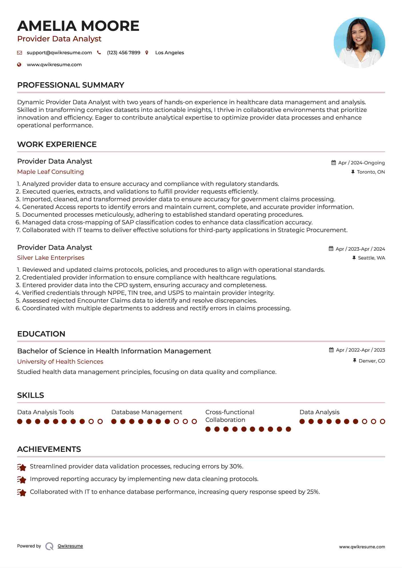 Provider Data Analyst Resume Example