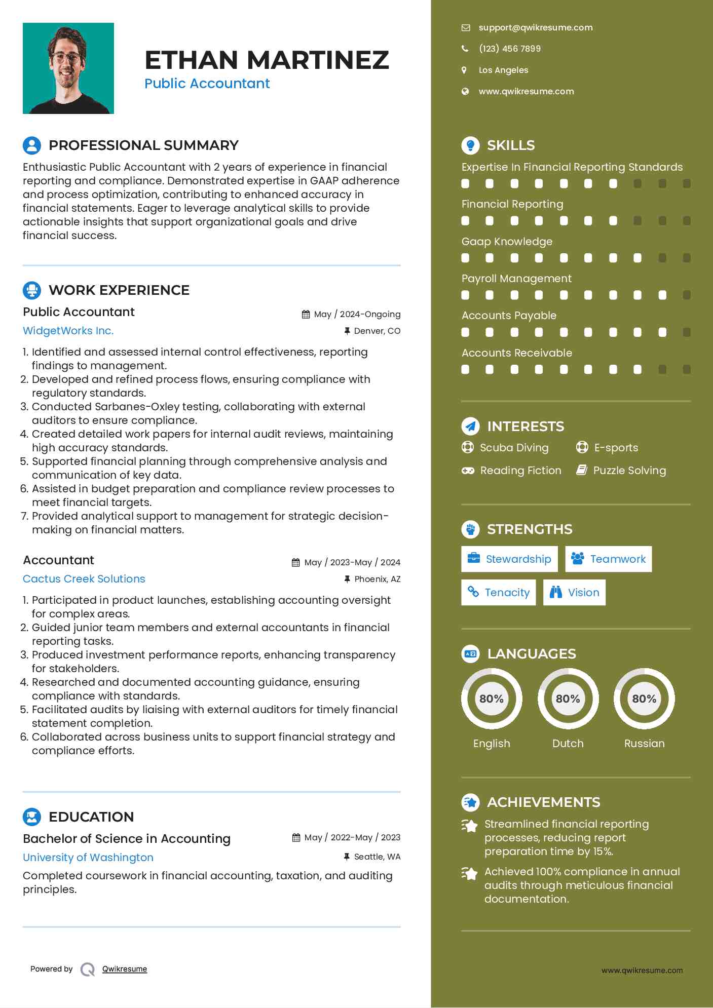 Public Accountant Resume Template