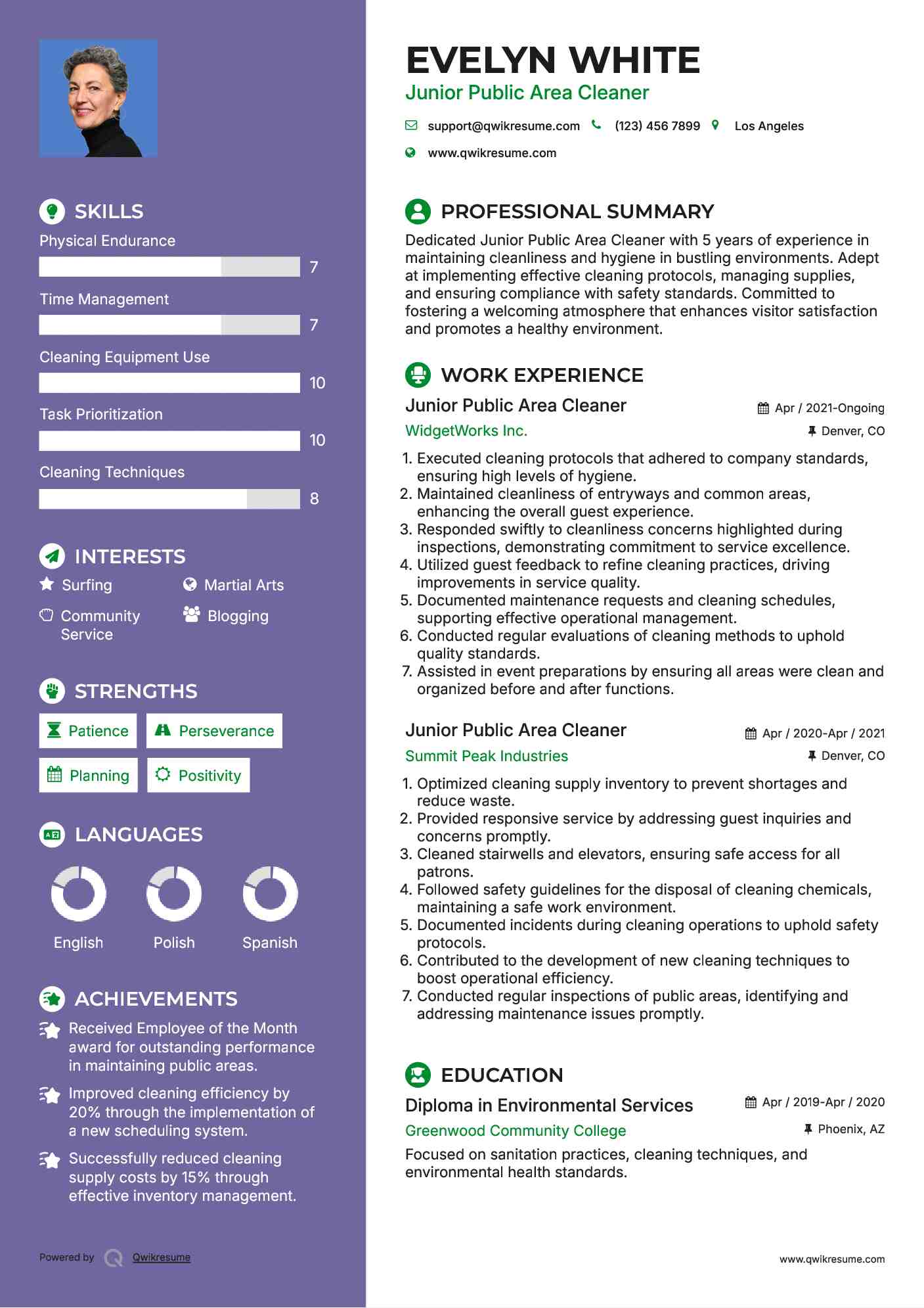 Junior Public Area Cleaner Resume Format