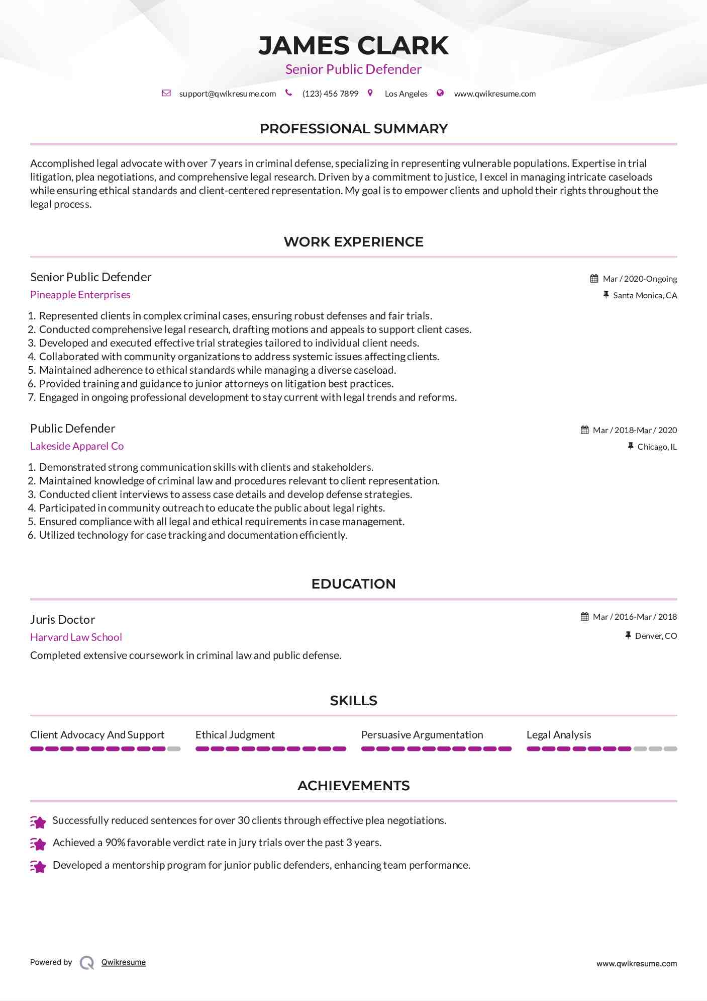 Senior Public Defender Resume Example