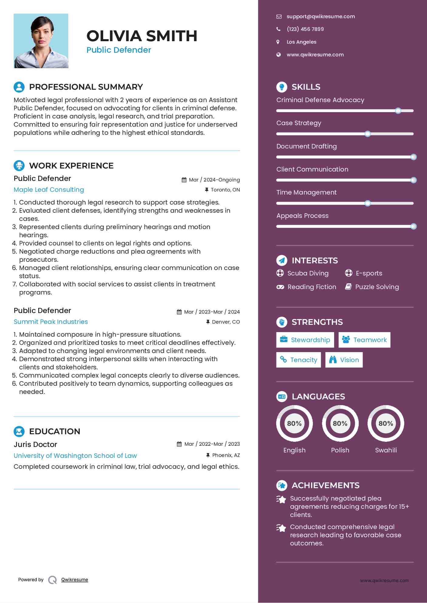 Public Defender Resume Example