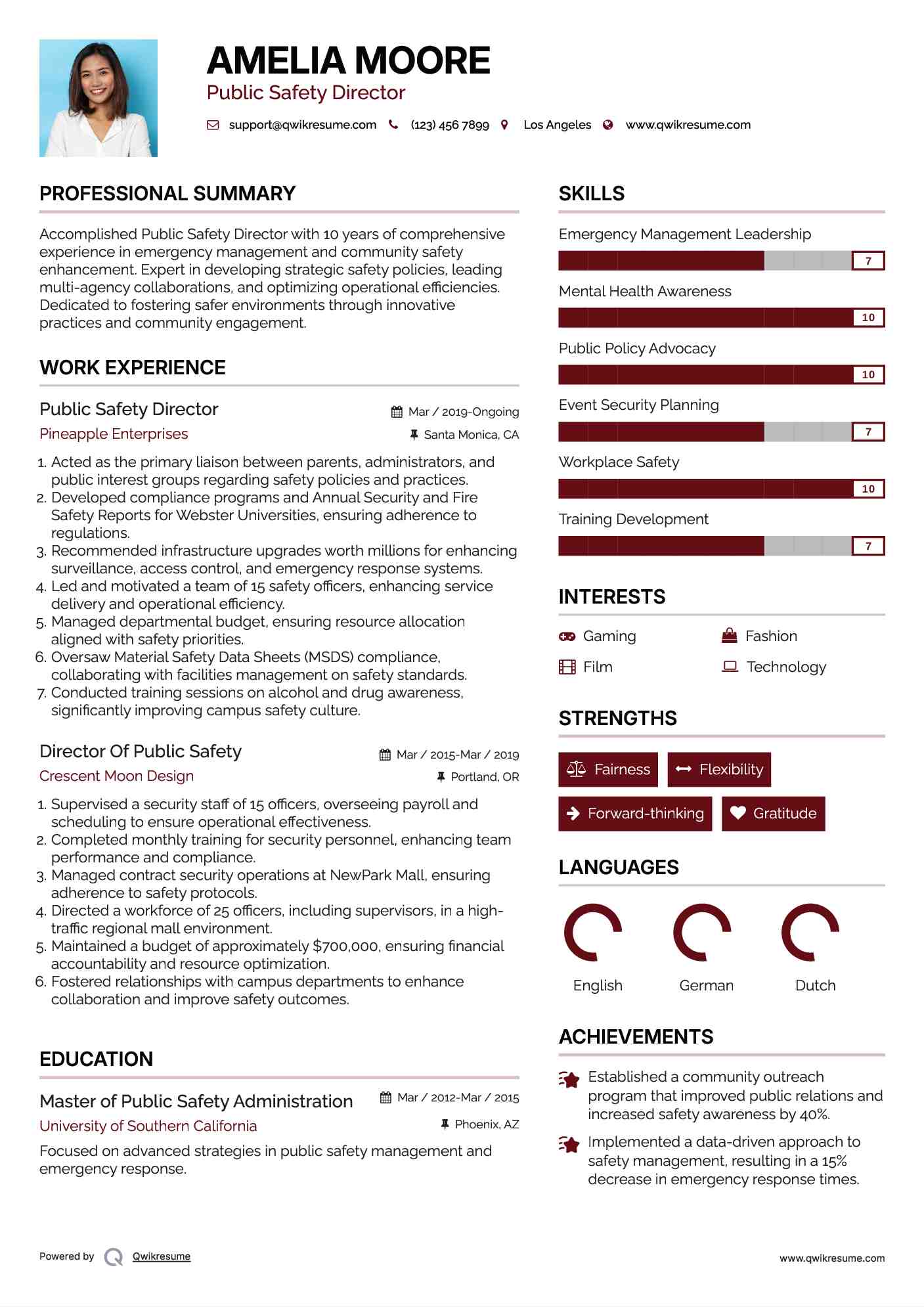 Public Safety Director Resume Template
