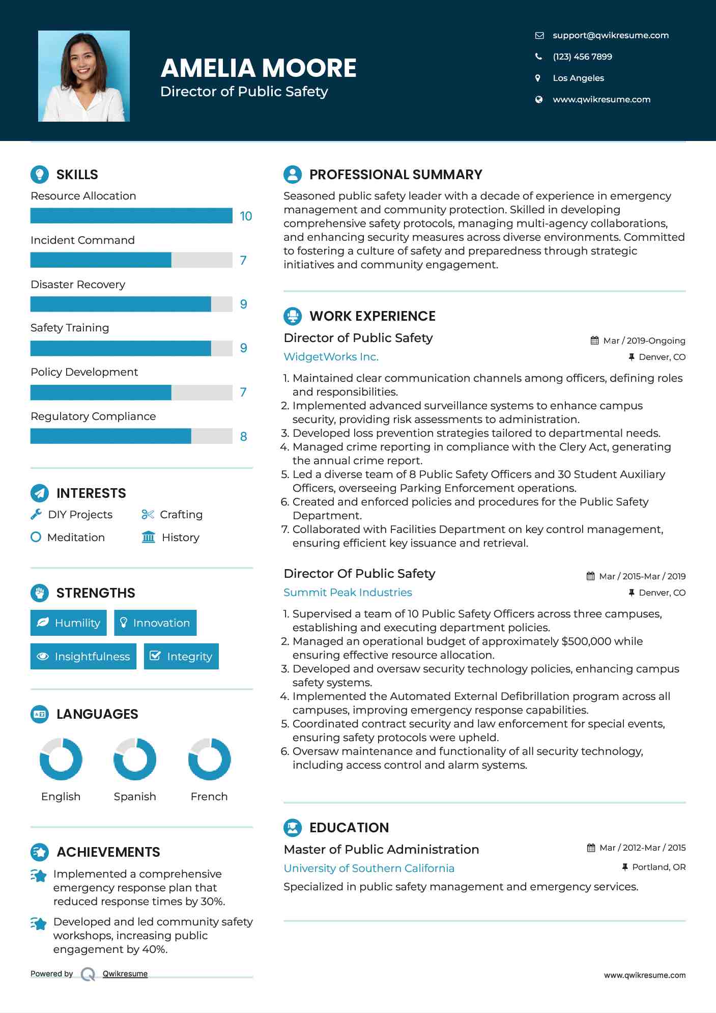 Director of Public Safety Resume Model