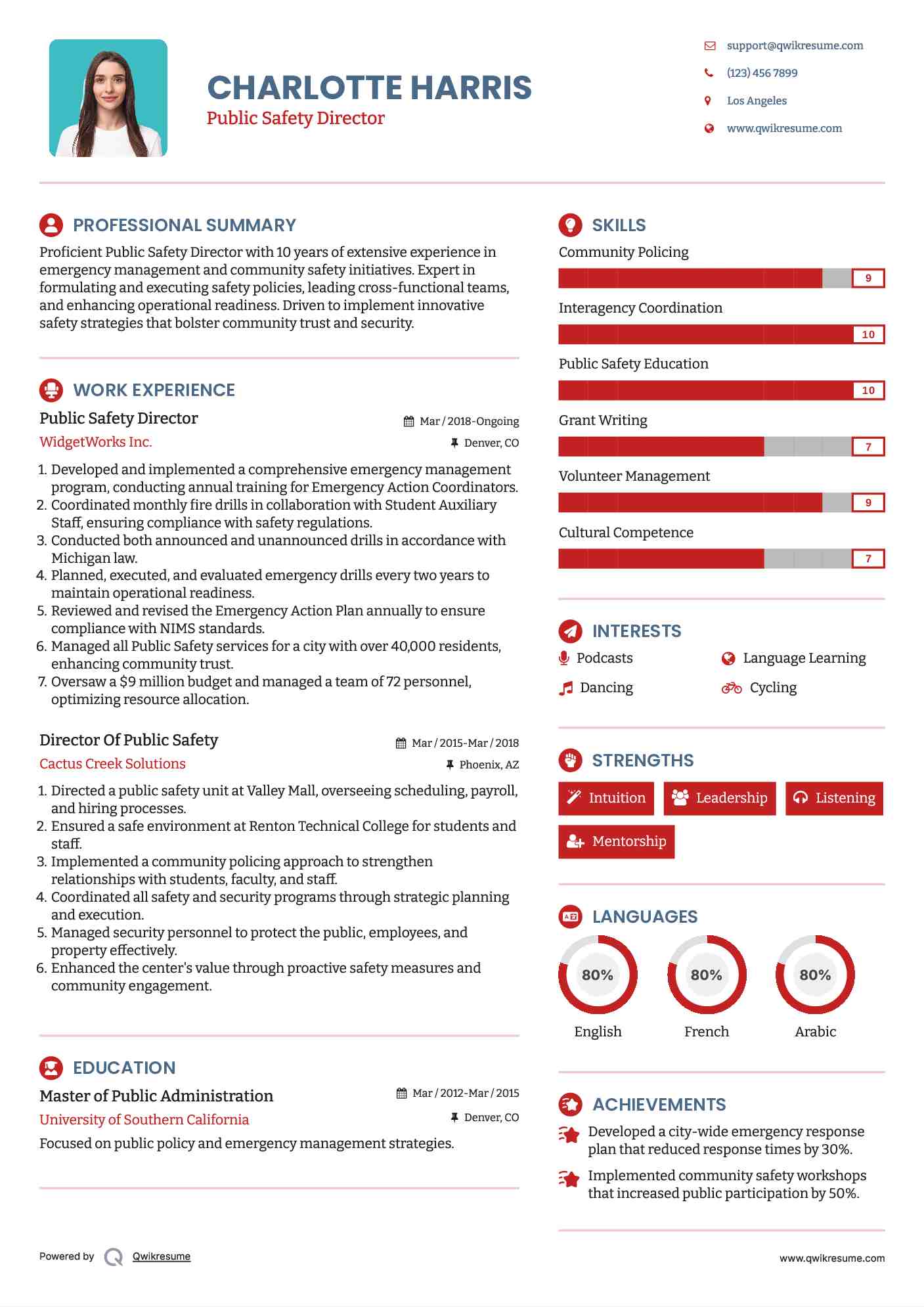 Public Safety Director Resume Example
